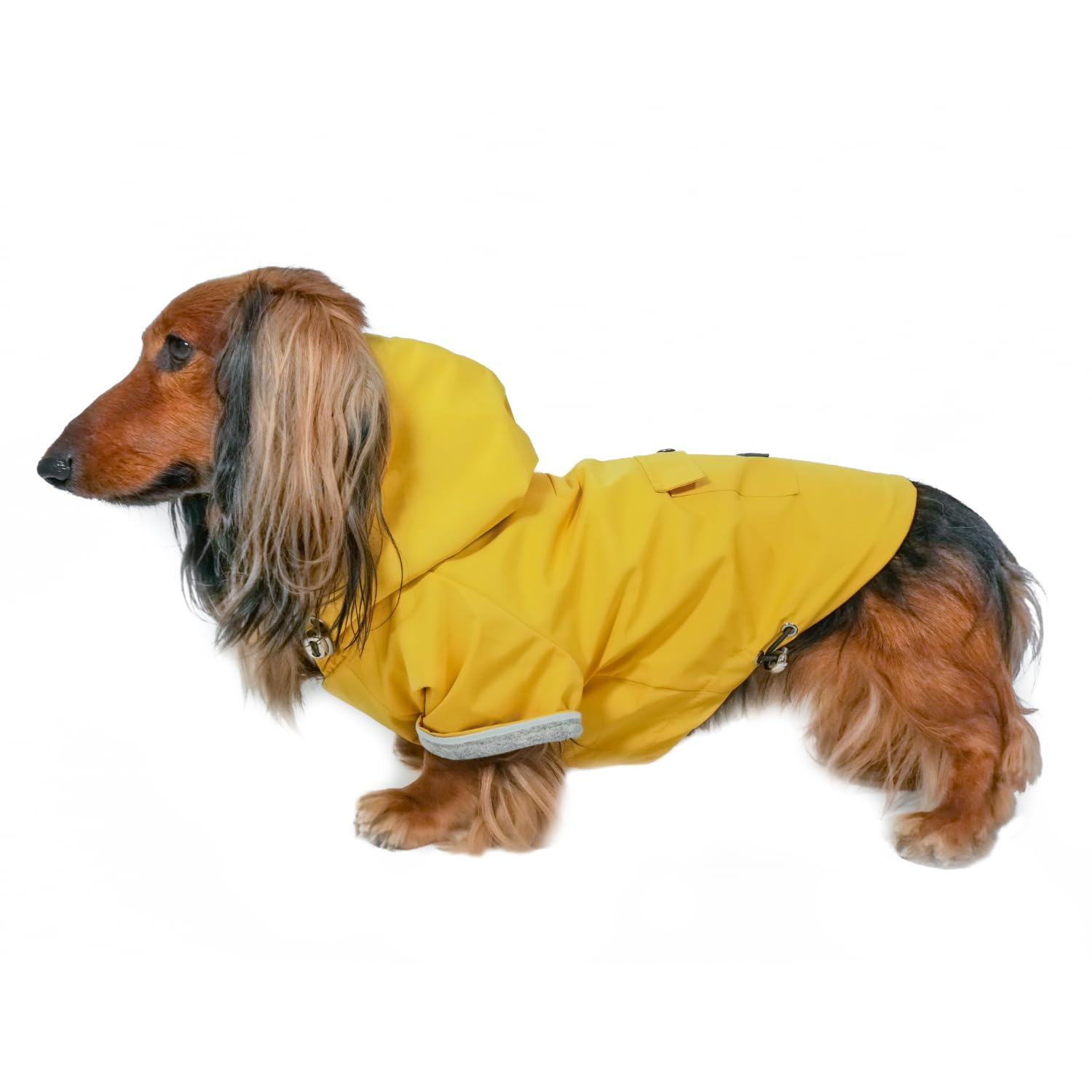 Waterproof Dog Jacket with Hood - Adjustable Lightweight Yellow Coat for Small & Medium Dogs | DJANGO Highland Dog Jacket with Harness Hole, Cozy Lining & Back Pocket (Medium, Yellow) | Perfect for Outdoor Adventures, Hiking & Cold Weather Protection