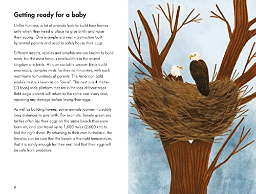 Baby Animals - A Ladybird Book | Educational Children's Book About Baby Animals | Perfect for Bedtime Stories & Early Learning