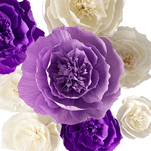 Purple, Beige, Lavender