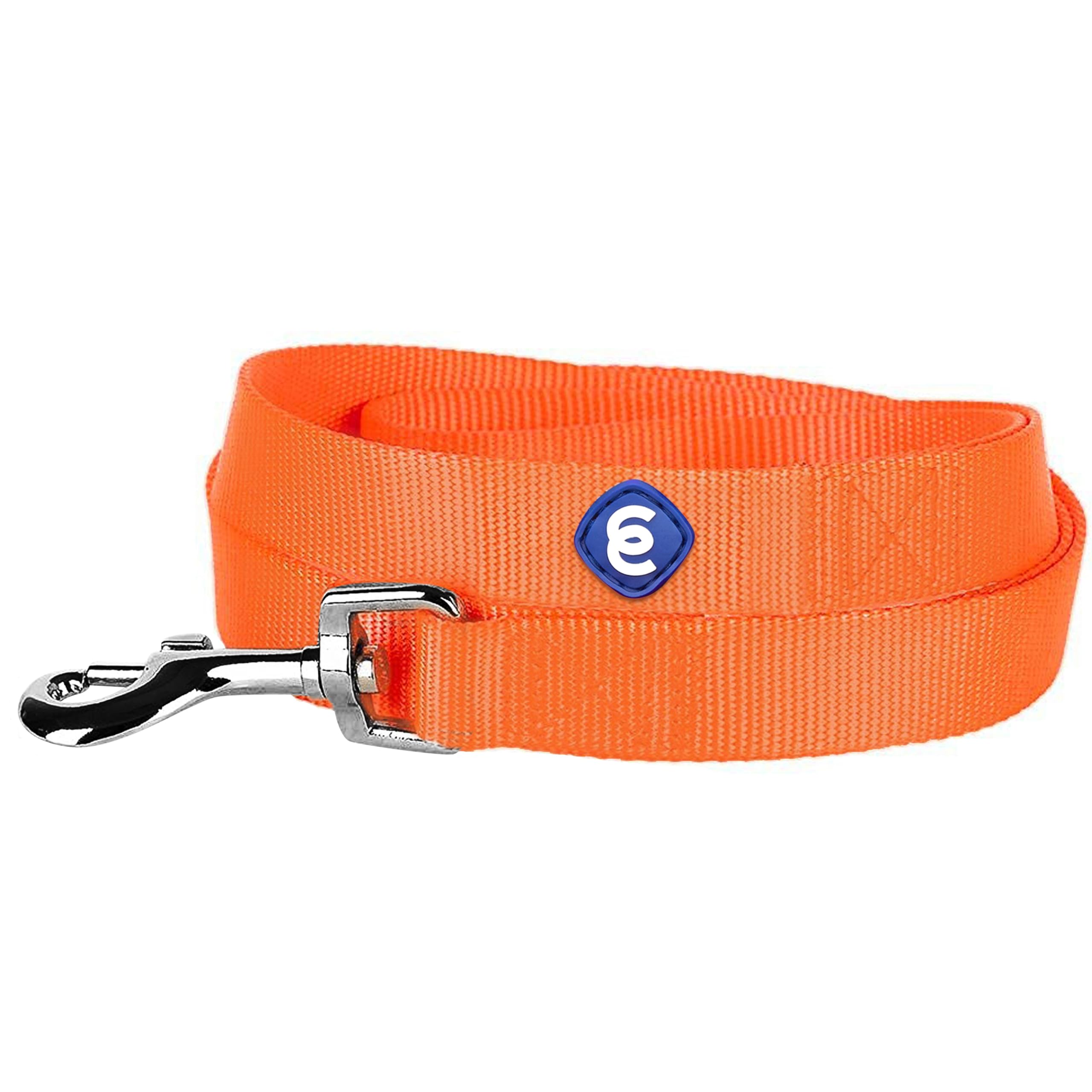 Durable Nylon Dog Leash 4ft x 1