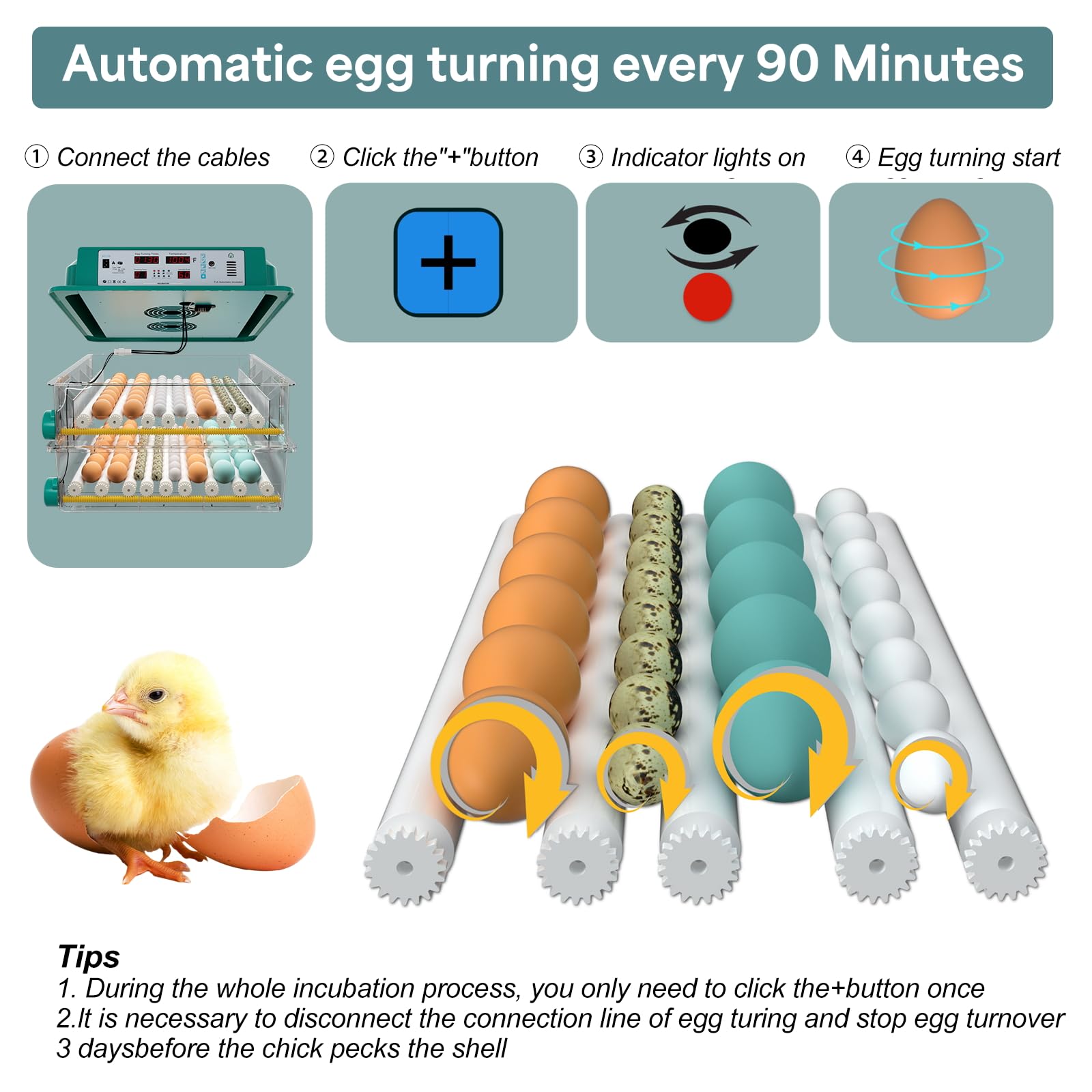 Automatic Egg Incubator for Chicken, Duck & Quail Eggs - 120 Egg Capacity with Auto Turning, Humidity Control & Built-in Candler | Perfect for Poultry Farming, Hatching Projects & Homesteading