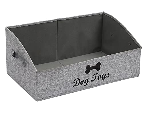 Dog Snow Grey