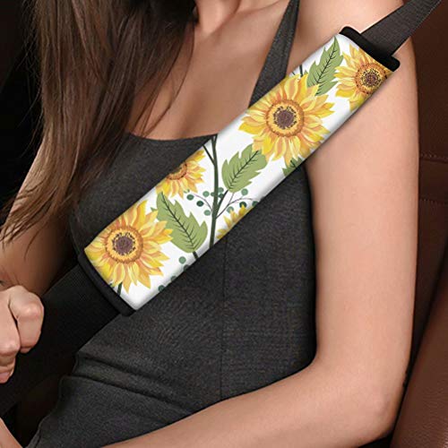 Sunflower 5