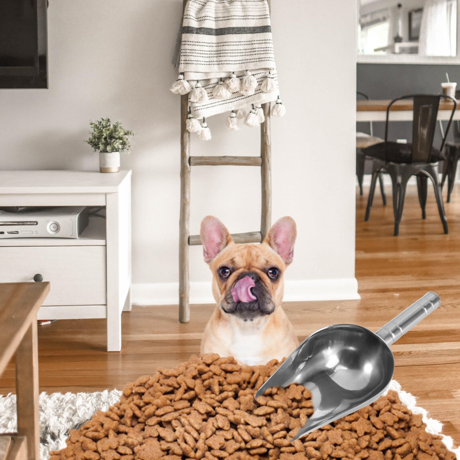 Stainless Steel Pet Food Scoop for Home & Travel Feeding