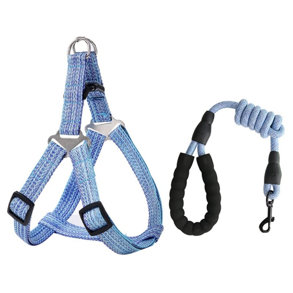 Premium Adjustable Nylon Dog Harness with Leash Set - Comfortable & Durable for Small, Medium & Large Dogs (Color A, Size Small) | Perfect for Walking, Training & Outdoor Adventures