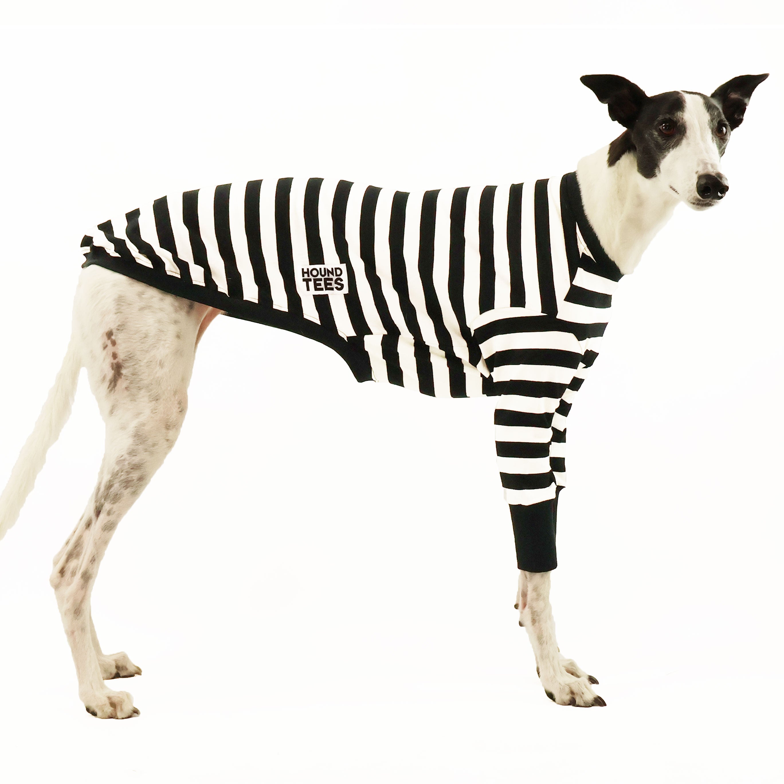 Jailbreak Greyhound Long Sleeve Hound T-Shirt - Comfortable Dog Lover Apparel for Casual Wear & Outdoor Activities