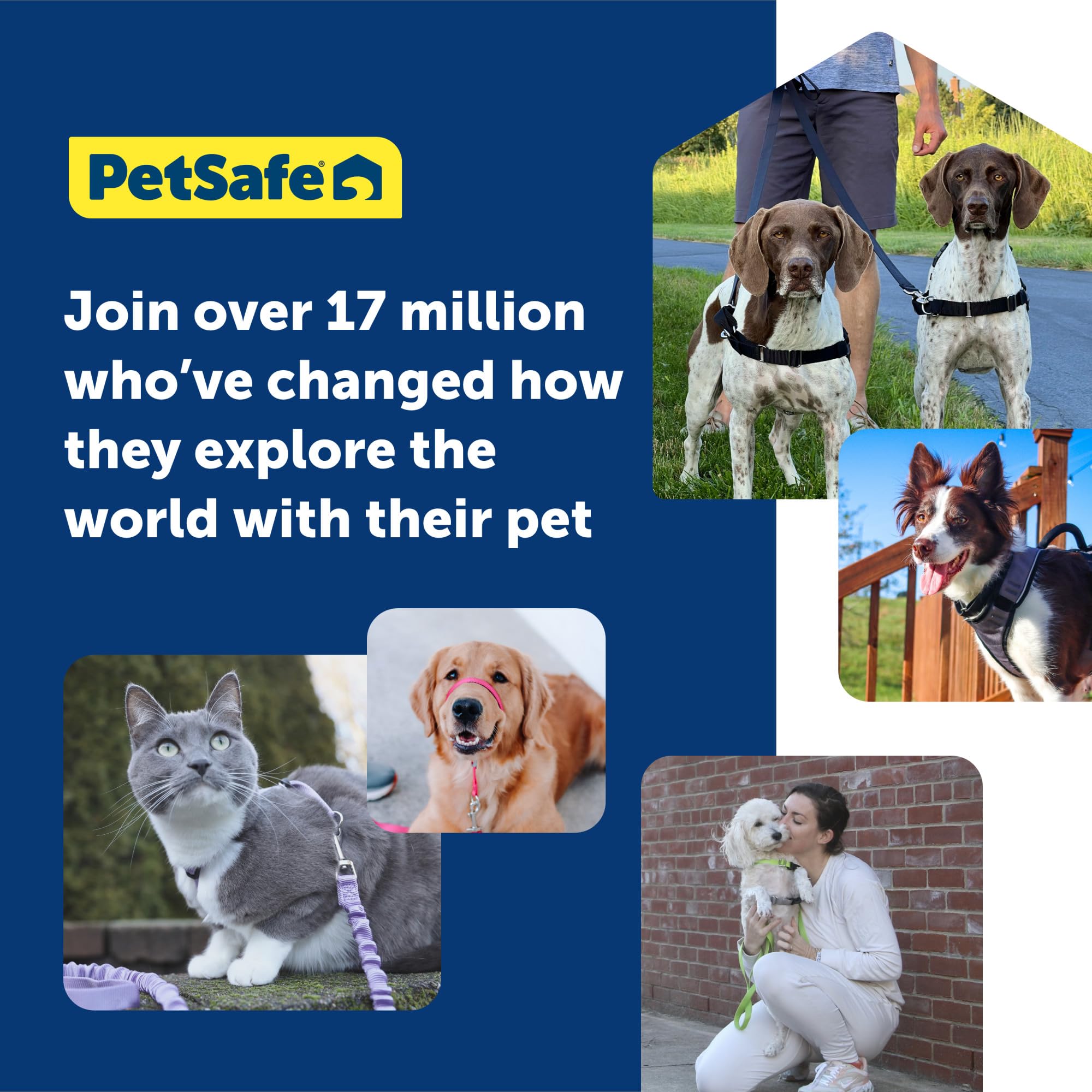PetSafe Easy Walk No-Pull Dog Harness for Medium/Large Dogs - Stop Pulling & Improve Leash Training - Comfortable Apple Green/Gray Harness for Walking, Hiking & Outdoor Adventures