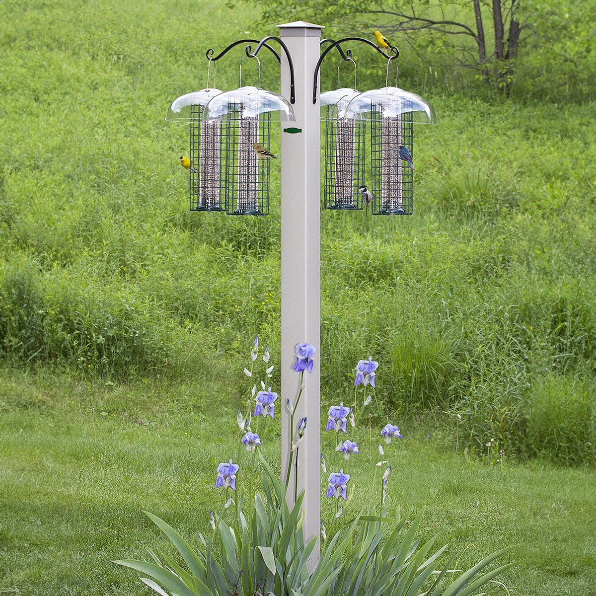 Duncamp Masterpiece 4-Arm 84 Station Bird Feeder - Premium Squirrel-Proof Wild Bird Feeder for Outdoor Garden, Yard & Backyard Bird Watching