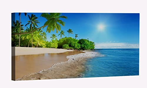 Sea Palm Tree