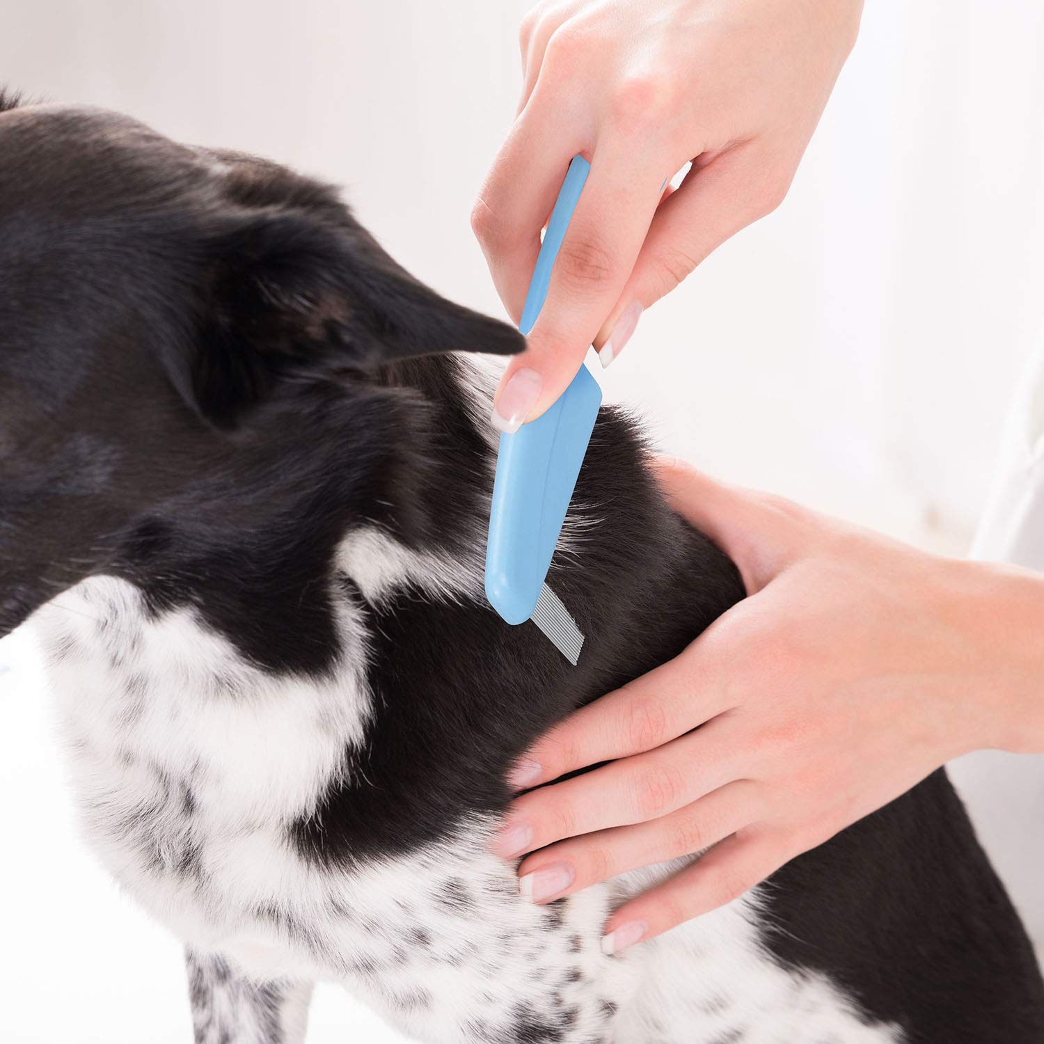 BENSEAO 5-Piece Pet Grooming Set - Metal Flea Comb for Dogs & Cats, Lice & Tear Stain Remover, Durable Detangling Comb with Storage Pouch (Blue) | Perfect for Removing Tangles, Dandruff & Floating Hair at Home or Professional Grooming