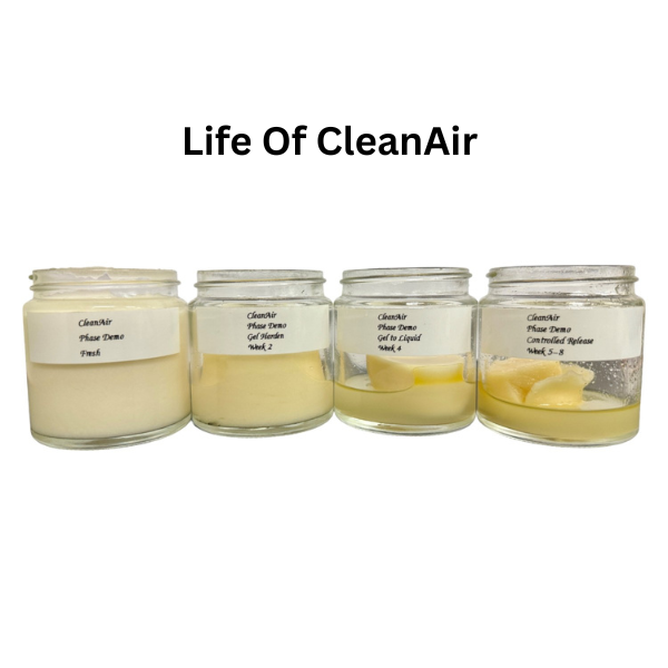 EcoGreen CleanAir 100g Odor Eliminator - Natural Air Freshener for Home, Car, Office & Pet Areas | Long-Lasting Fragrance & Odor Control