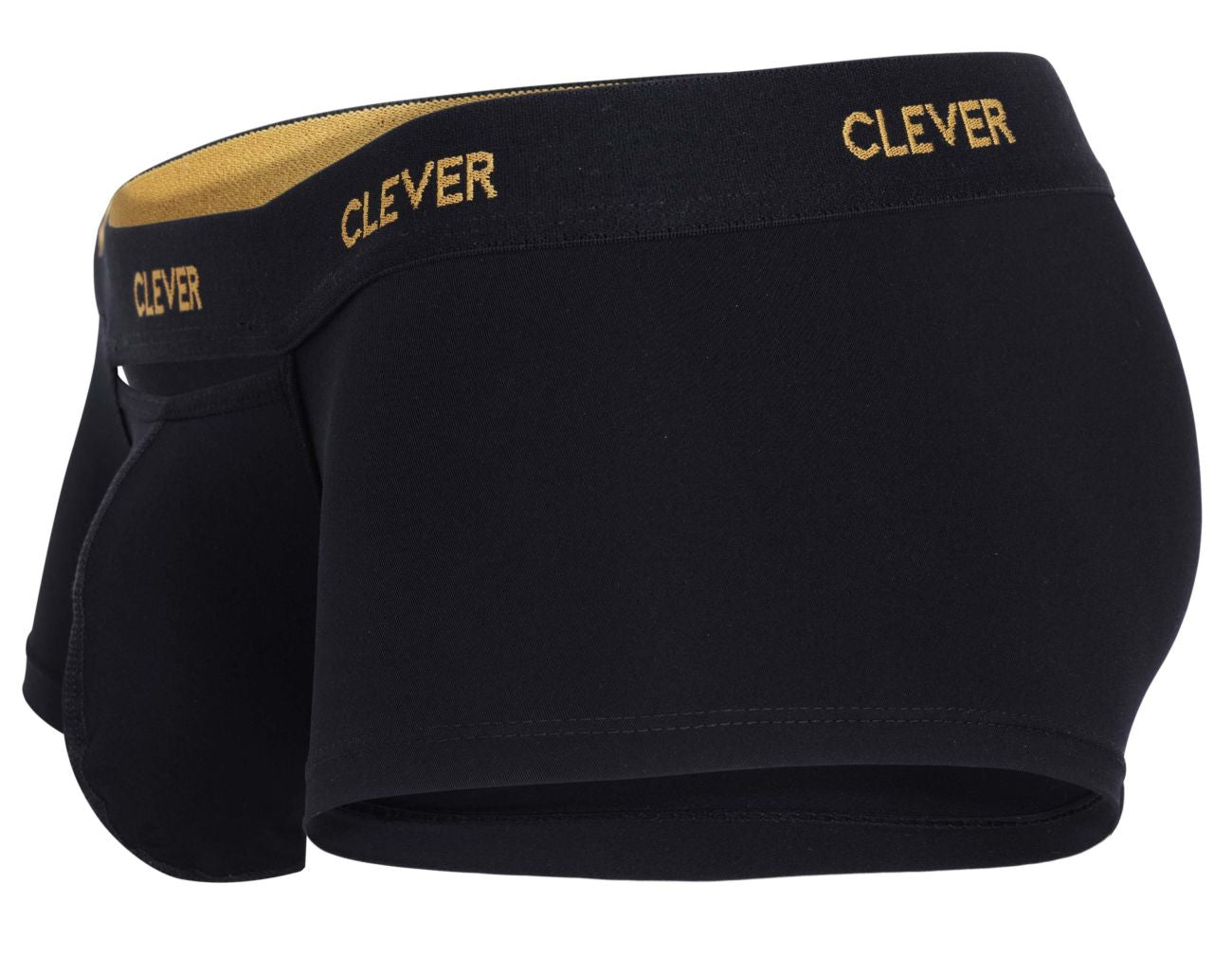Luxury Clever Trunk 1677 - Premium Travel Storage & Stylish Home Decor for Suitcases, Blankets & Seasonal Items