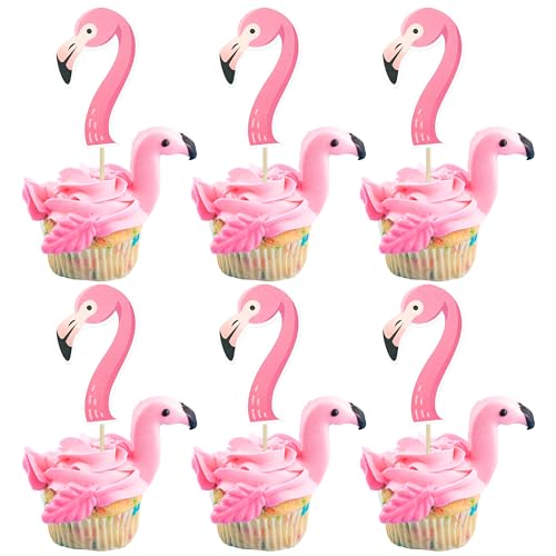 Multi-6