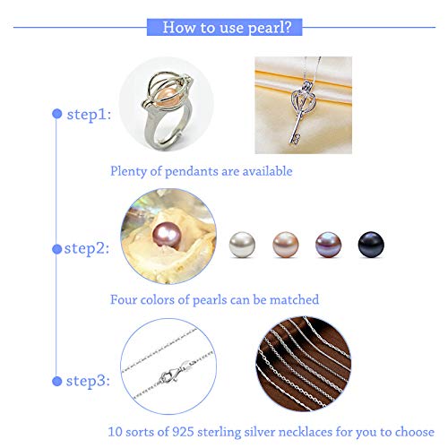 4PC Saltwater Akoya Pearl Oyster with 6-8mm Pearls Inside - Genuine Cultured Pearls for Jewelry Making, DIY Crafts & Gift Giving - Perfect for Wedding Favors, Birthday Presents & Home Decor