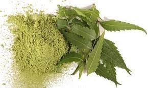 Organic Neem Leaves Powder 50g | Azadirachta Indica for Skin Care, Hair Growth & Acne Treatment | Natural Face Mask & Scalp Treatment | Herbal Remedy for Eczema & Dandruff | Perfect for DIY Beauty Recipes & Ayurvedic Remedies
