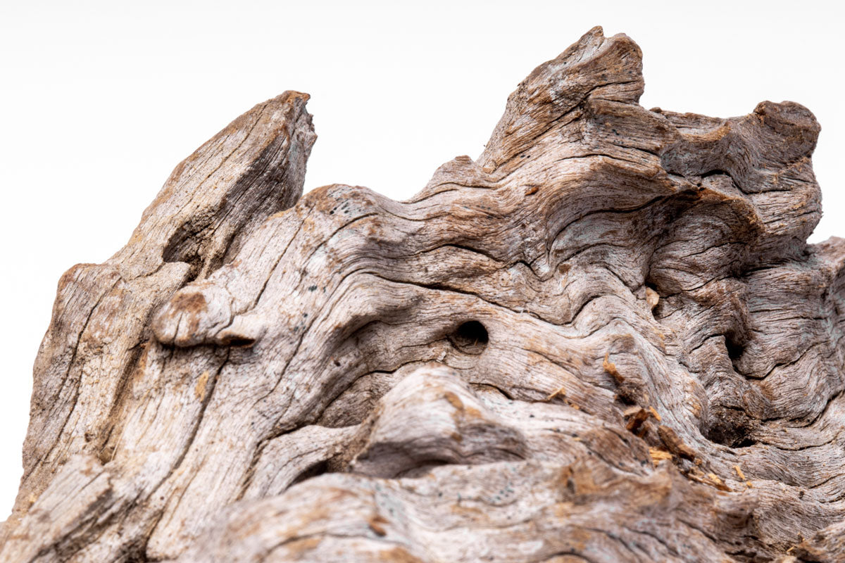 Natural Forest Driftwood for Home Decor - Rustic Wood Pieces for DIY Crafts, Aquarium, Terrarium & Wedding Centerpieces - Perfect for Beach Theme, Boho & Nature-Inspired Designs