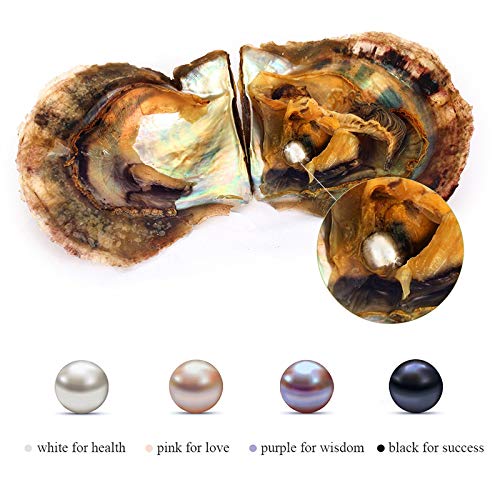 4PC Saltwater Akoya Pearl Oyster with 6-8mm Pearls Inside - Genuine Cultured Pearls for Jewelry Making, DIY Crafts & Gift Giving - Perfect for Wedding Favors, Birthday Presents & Home Decor
