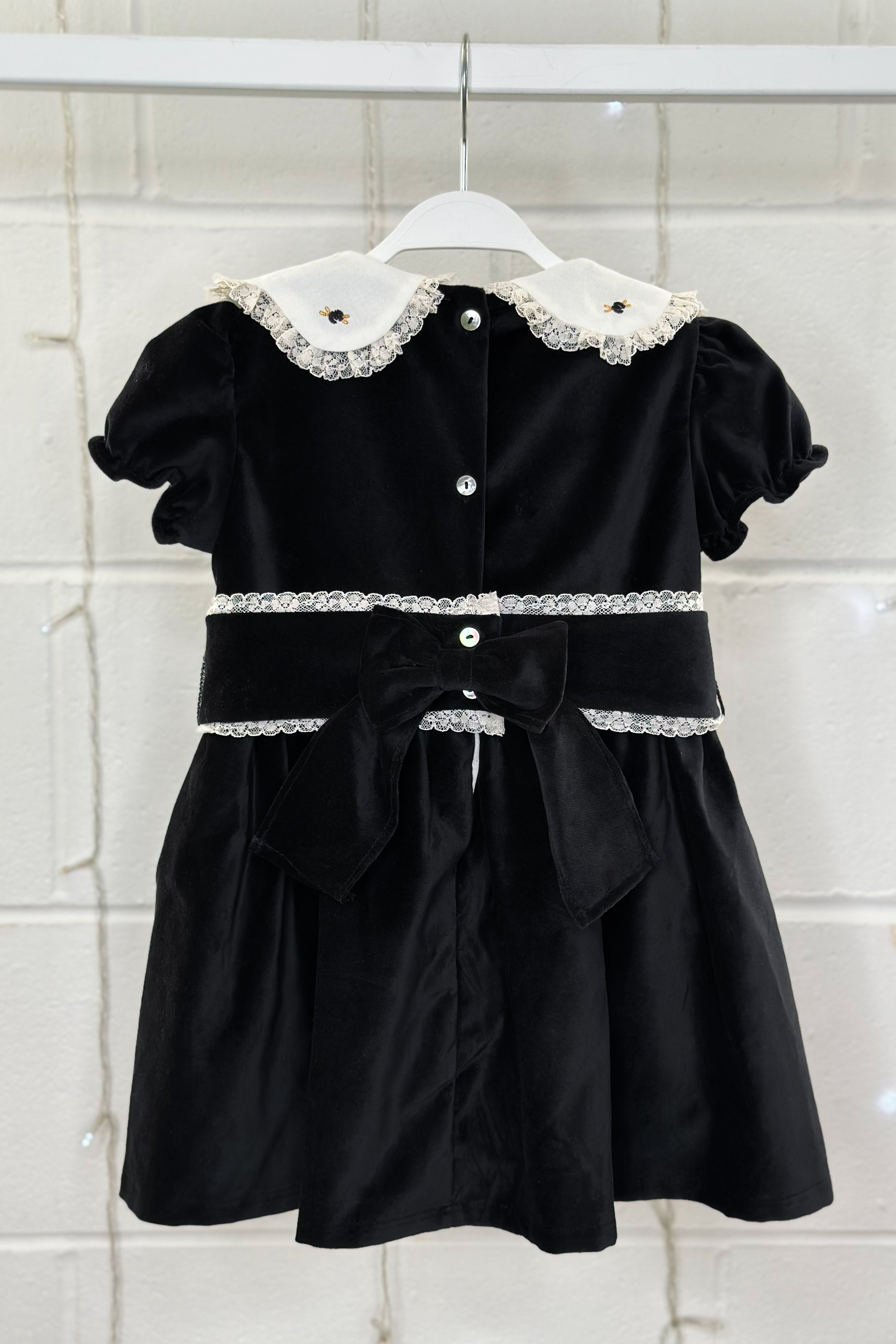 Verity Black Velvet Embroidered Dress - Elegant Evening Gown for Women, Formal Party Wear, Holiday Special Occasion Outfit | Perfect for Weddings, Galas, and Cocktail Parties