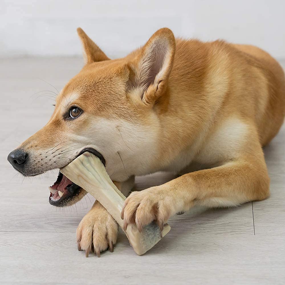 Durable Nylon Dog Toys for Aggressive Chewers - Tough Chew Bone for Large & Medium Dogs & Teething Puppies (2-Pack, Large Size) - Perfect for Playtime, Training & Dental Health