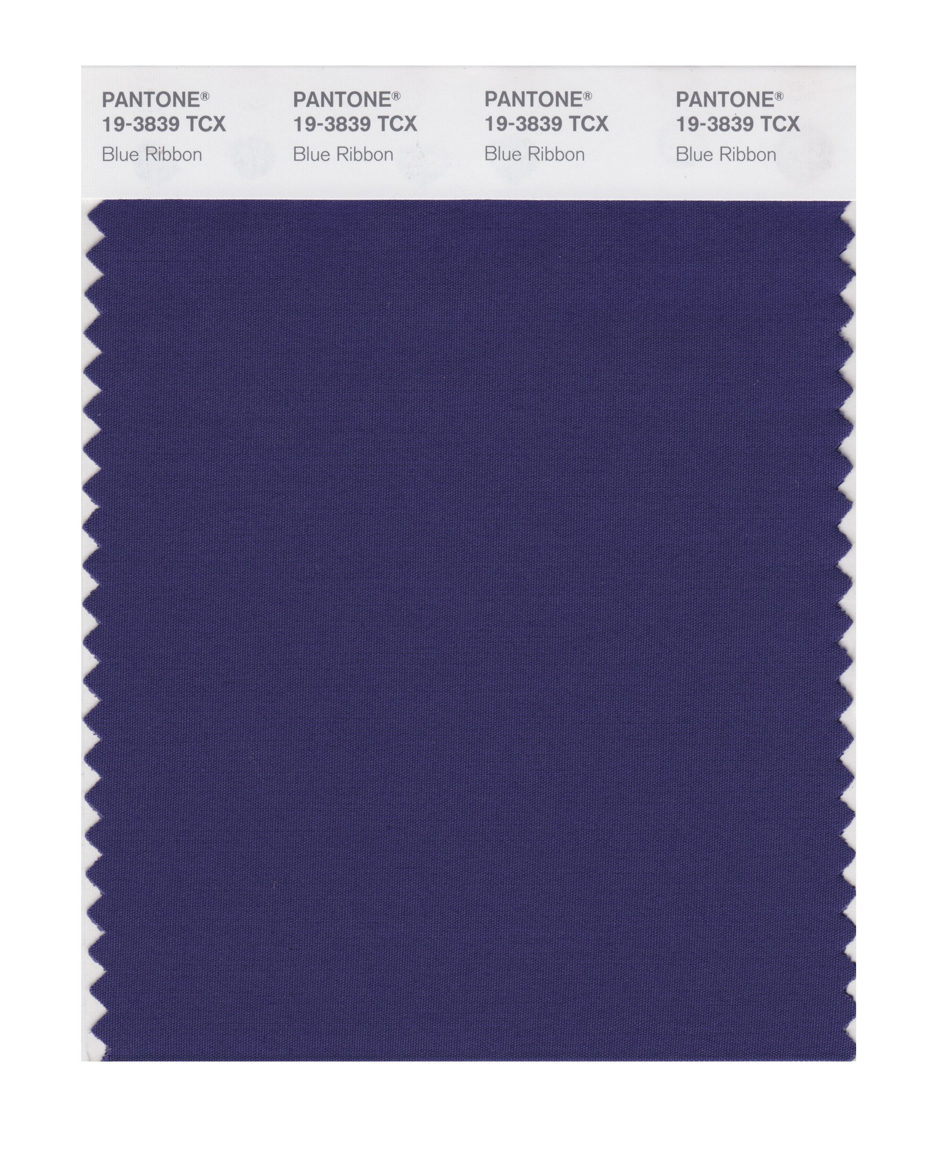PANTONE Smart 19-3839X Blue Ribbon Color Swatch Card | Premium Color Matching Tool for Graphic Design, Printing & Branding | Perfect for Designers, Artists & Print Professionals