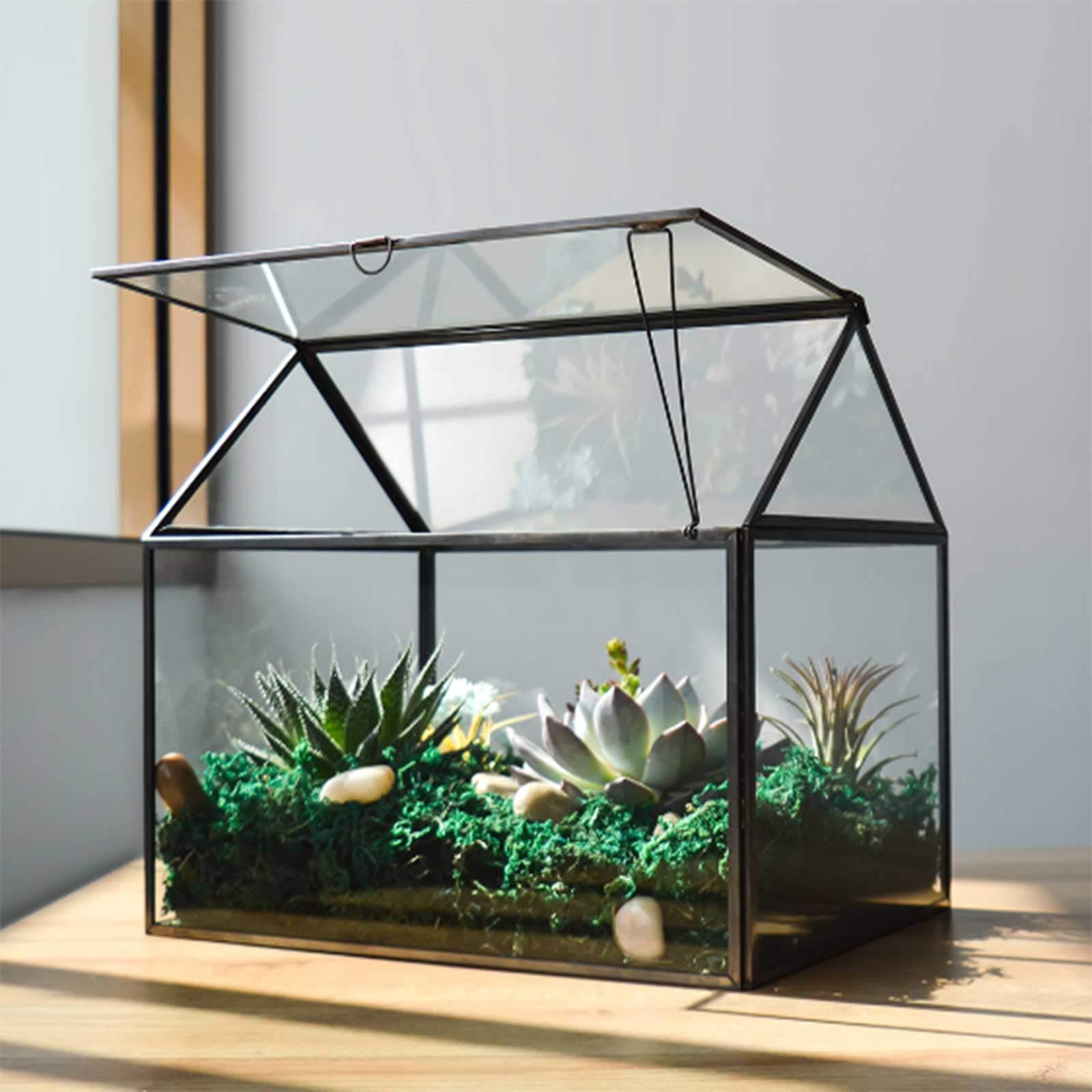 Large Glass Plant Terrarium for Succulents - 12.26x9.15x10.9 Inch Black Greenhouse Terrarium Kit with Lip | Perfect for Home Decor, Office Plants & Indoor Gardening Gifts