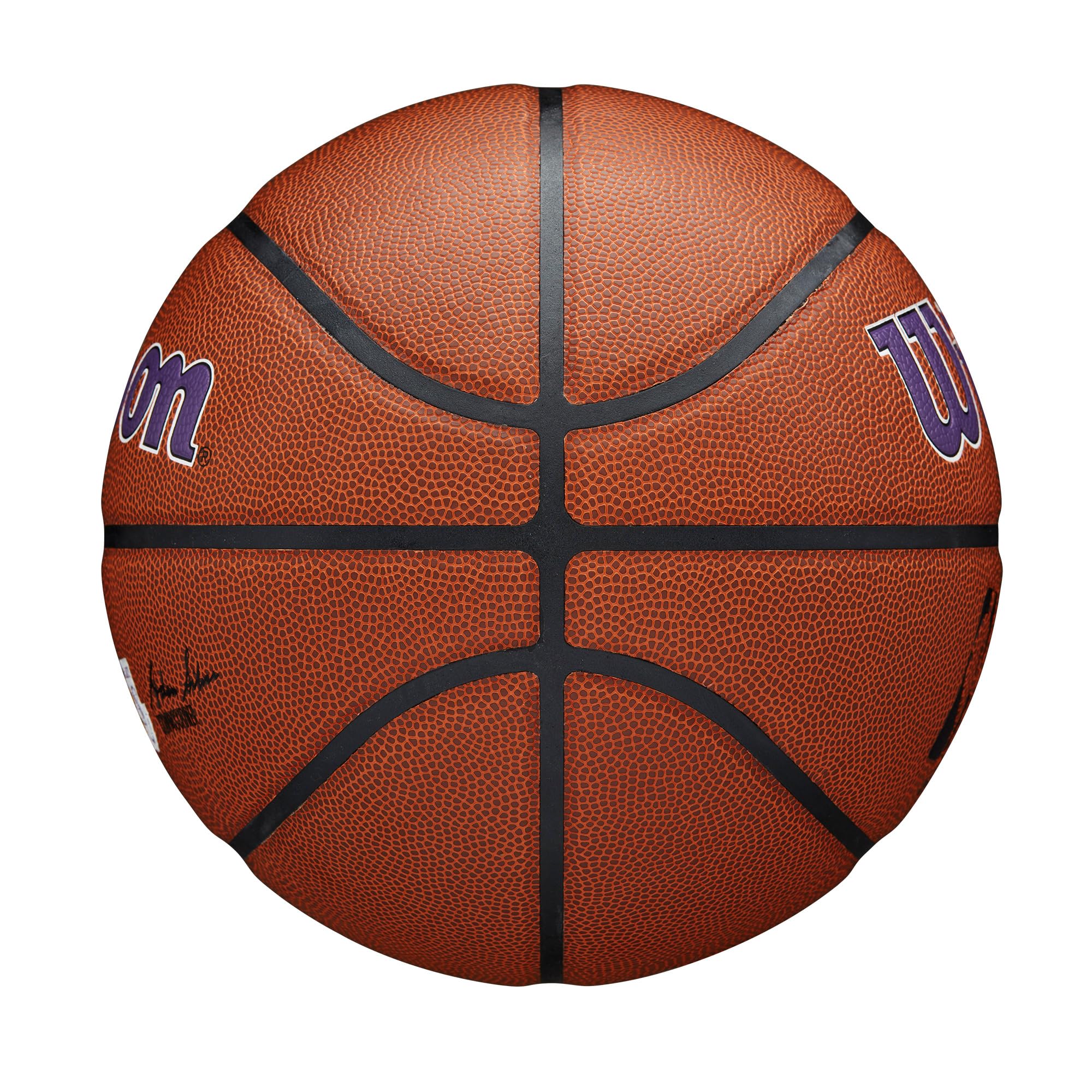 Wilson NBA Team Alliance Official Game Basketball - Size 7 (29.5