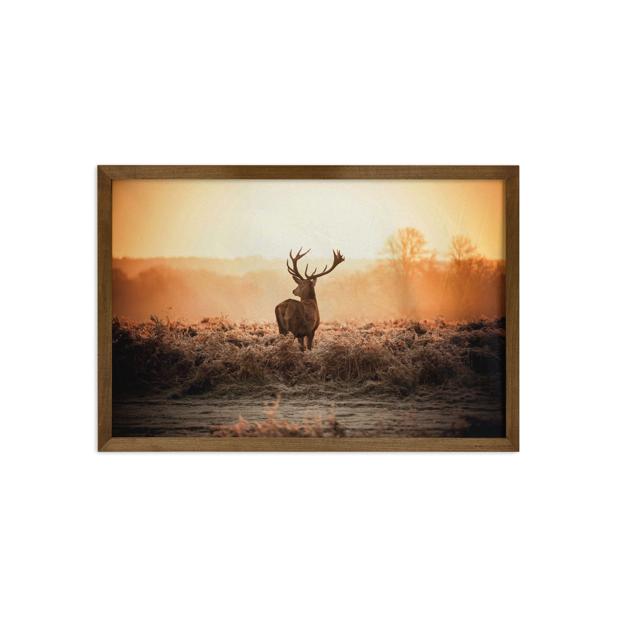 Ambesonne Hunting Themed Framed Wall Art - Red Deer in Morning Sun Wilderness Nature Scenery, Countryside Rural Landscape with Heathers - Fabric Decor with Teak Wood Frame for Home, Office & Dorm Decor - 35