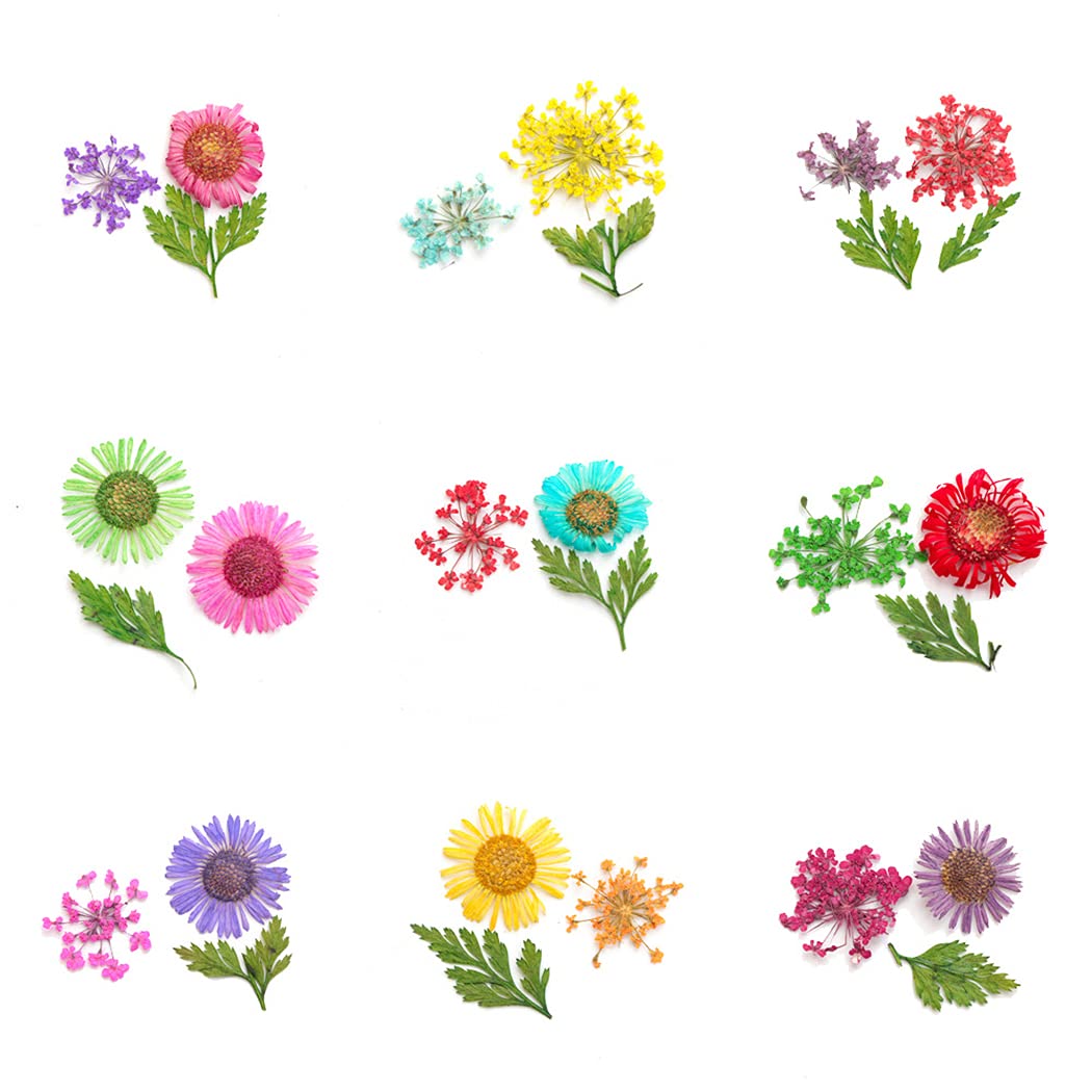 CACAZI Natural Dried Flowers for Nail Art - DIY Pressed Flower Nail Accessories Kit with Nail Art Stones - Perfect for Manicure, Pedicure & Creative Nail Designs at Home or Salon