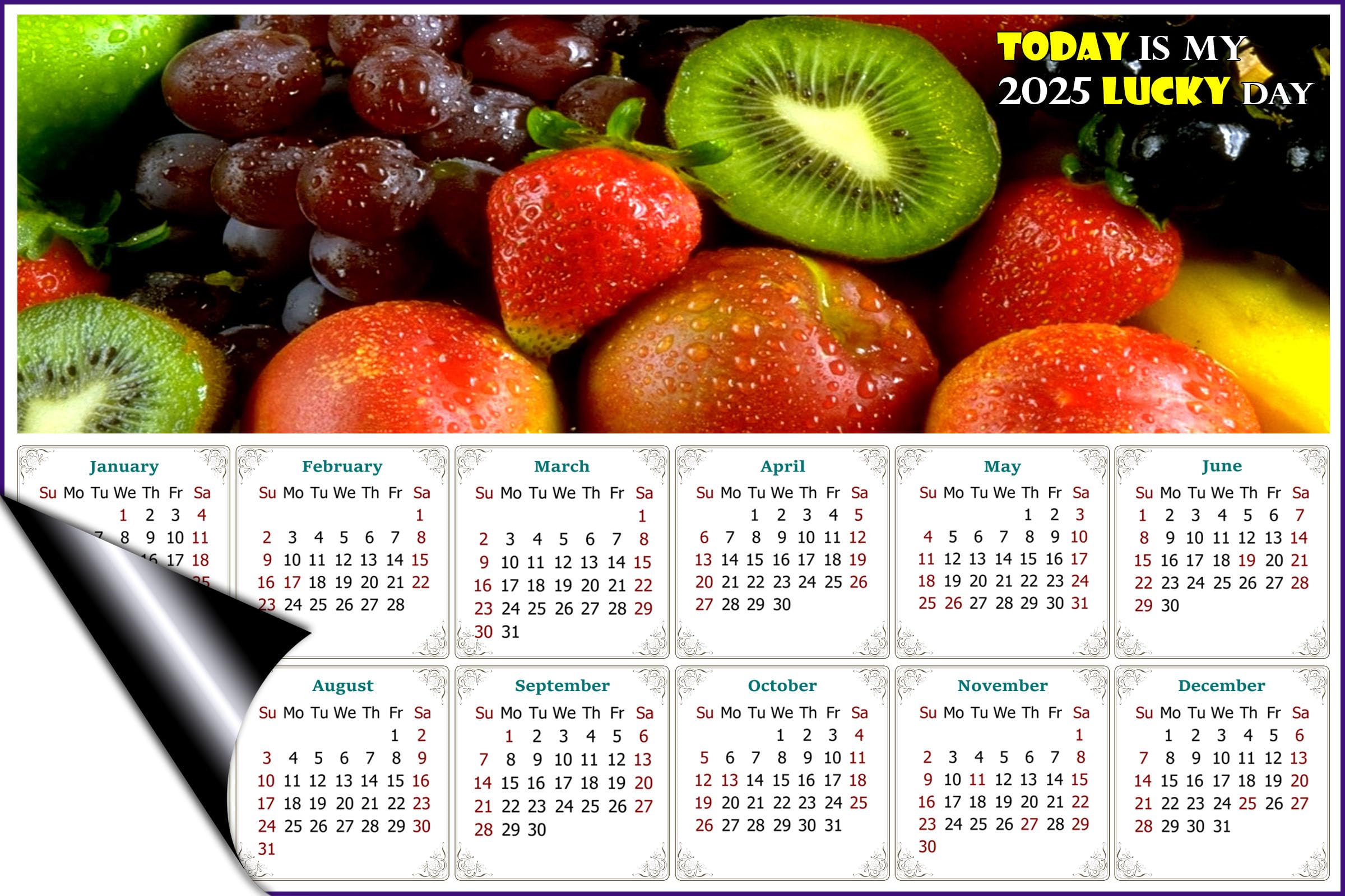 2025 Magnetic Calendar - Durable Fade, Tear & Water Resistant Calendar Magnets - 