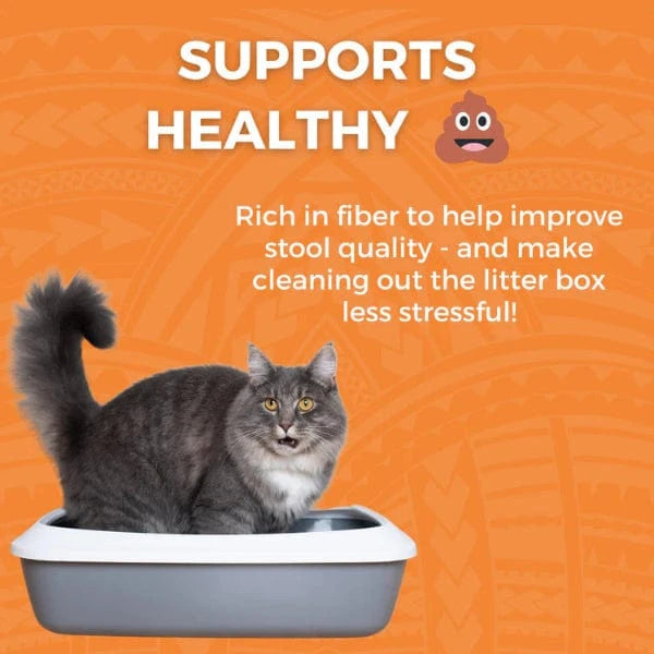 KOHA Limited Ingredient Cat Food - Grain Free Chicken & White Rice Recipe for Sensitive Stomachs | Digestive Support for Cats with Allergies | Perfect for Indoor Cats & Picky Eaters
