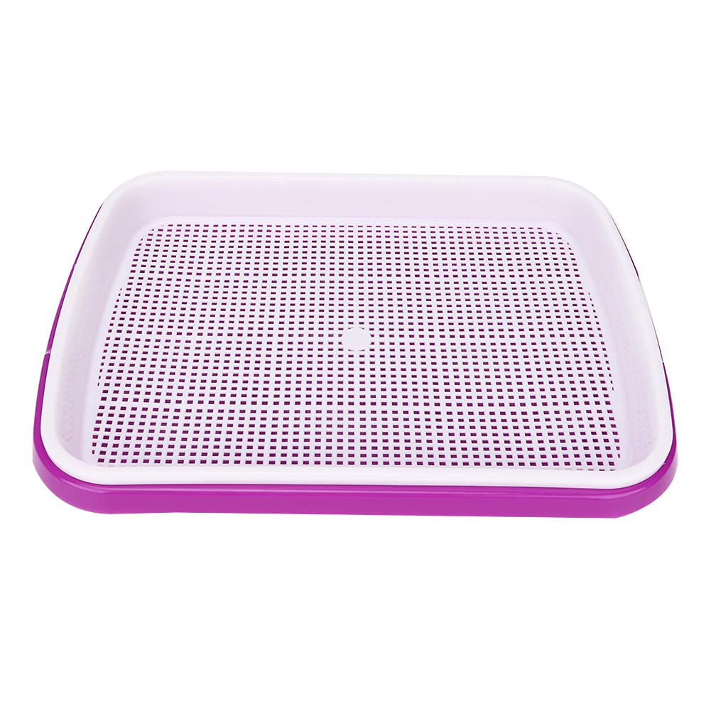 01 Seed Trays - Double Layer Plastic Seed Starter Trays for Seed Germination | Indoor & Outdoor Gardening, Hydroponics, Microgreens & Home Planting