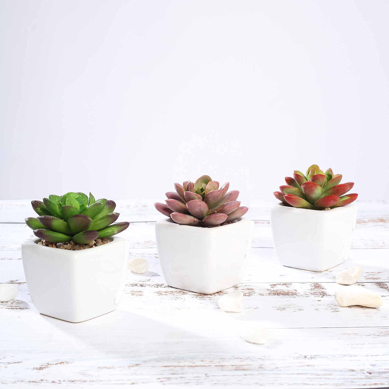 Realistic Artificial Succulent Plants Set of 3 - Fake Echeveria Elegans in Ceramic Pots for Home & Office Decor - Low Maintenance Desk Plants for Living Room, Bathroom, and Workspace Decorations