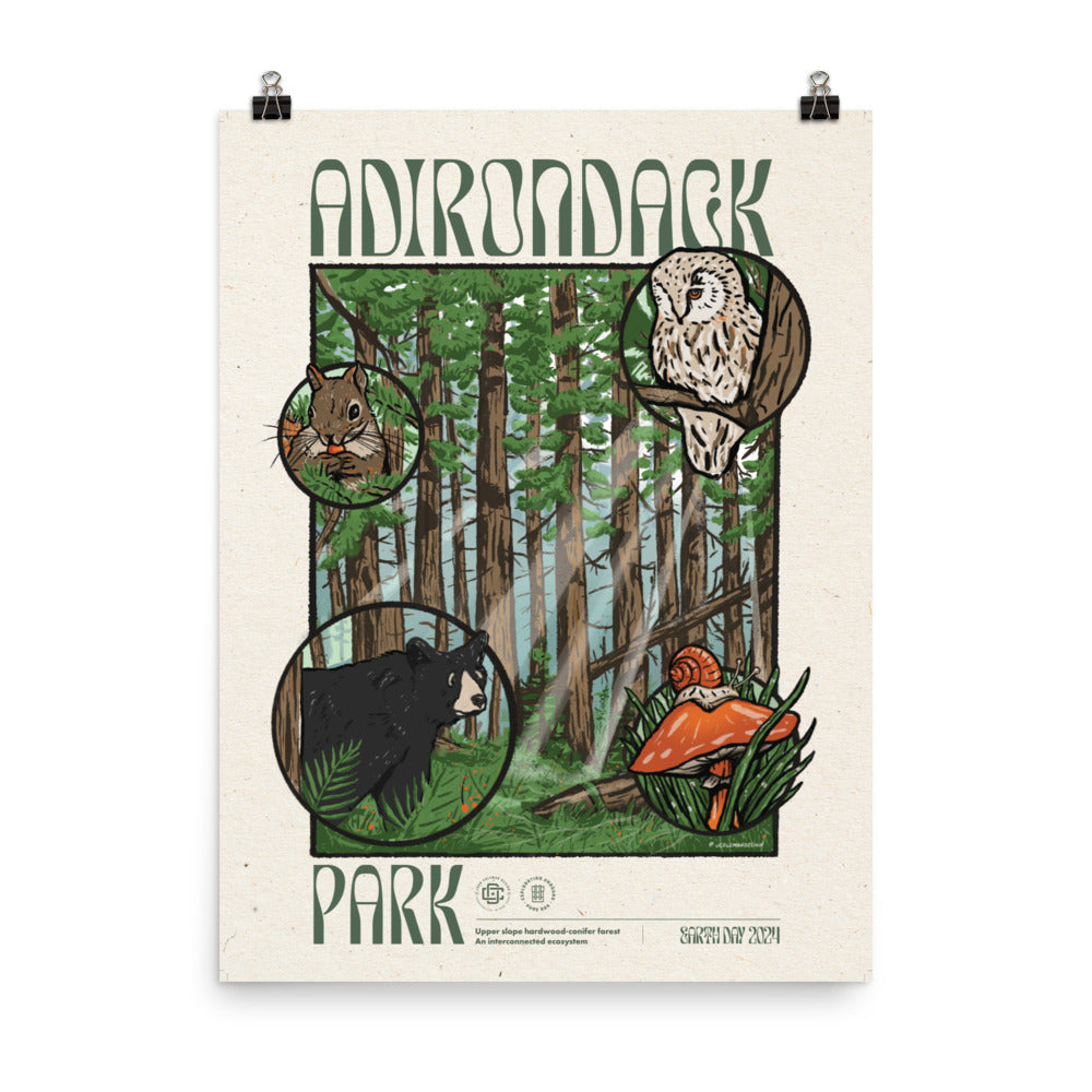 Adirondack Ecosystem Poster - 1st Edition | High-Quality Wall Art for Home, Office & Classroom Decor
