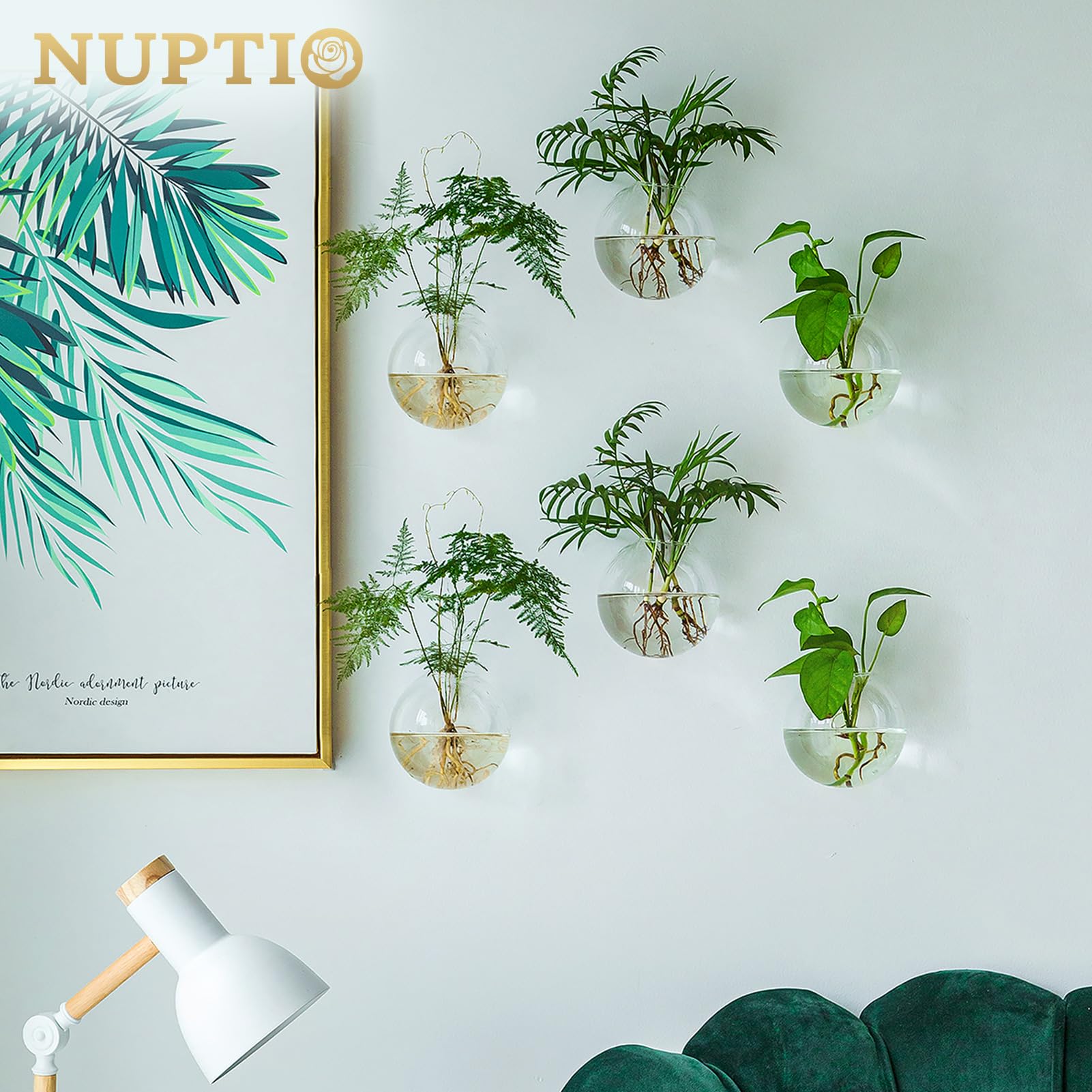NUPTIO 6-Pack Clear Glass Wall Hanging Planters - Oblate Terrarium Vases for Indoor Plants, Succulents & Flowers | Hydroponic Wall-Mounted Propagation Stations | Perfect for Home, Office, Living Room & Garden Decor