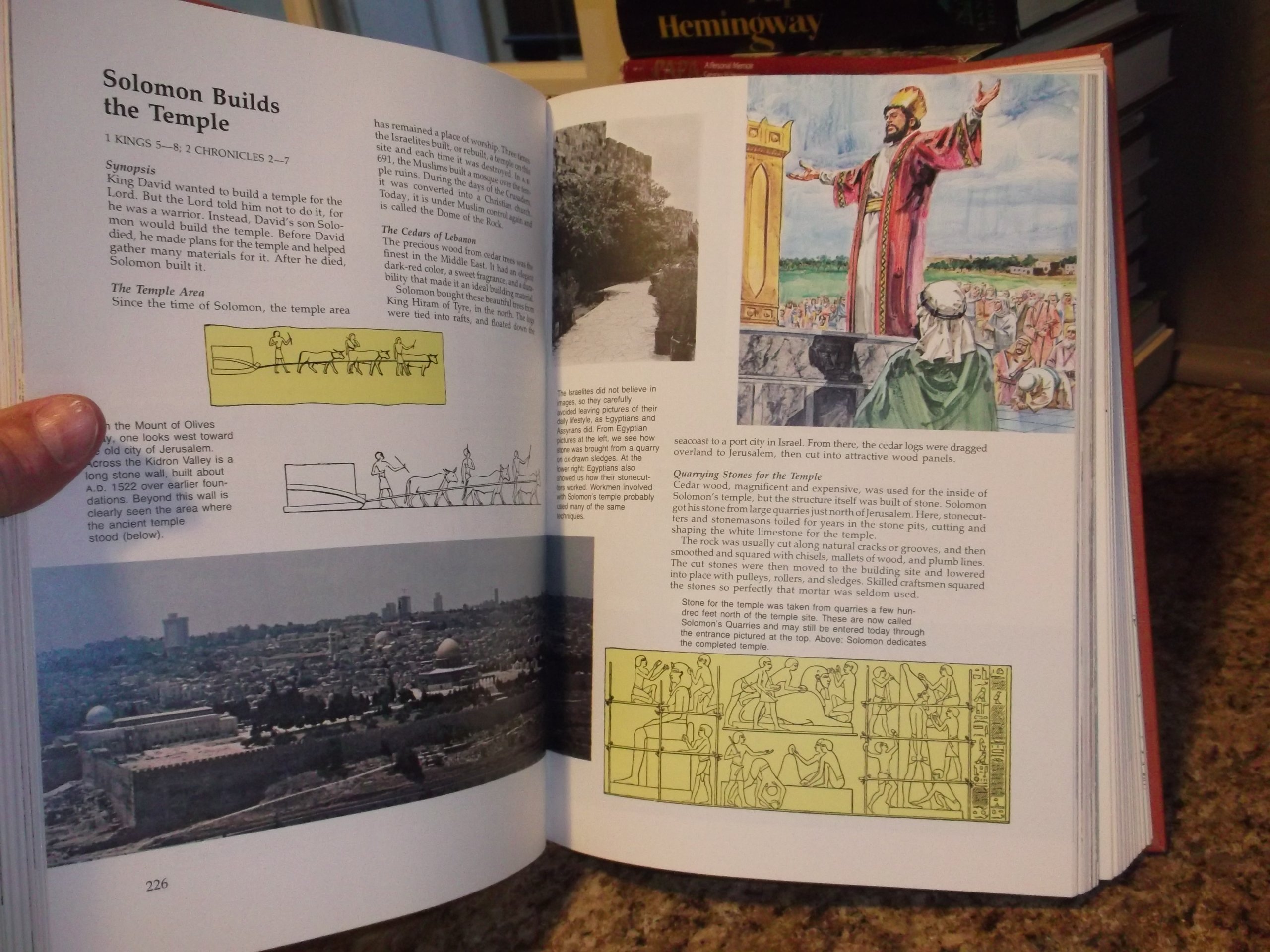 The Victor Handbook of Bible Knowledge: Answers to 300 Bible Stories - Perfect for Bible Study, Sunday School & Christian Education