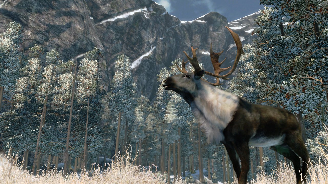 Cabela's Outdoor Adventures 2010 - Hunting & Fishing Game for PlayStation 2 | Action-Packed Outdoor Sports Simulation | Perfect for Hunting Enthusiasts & Family Game Nights