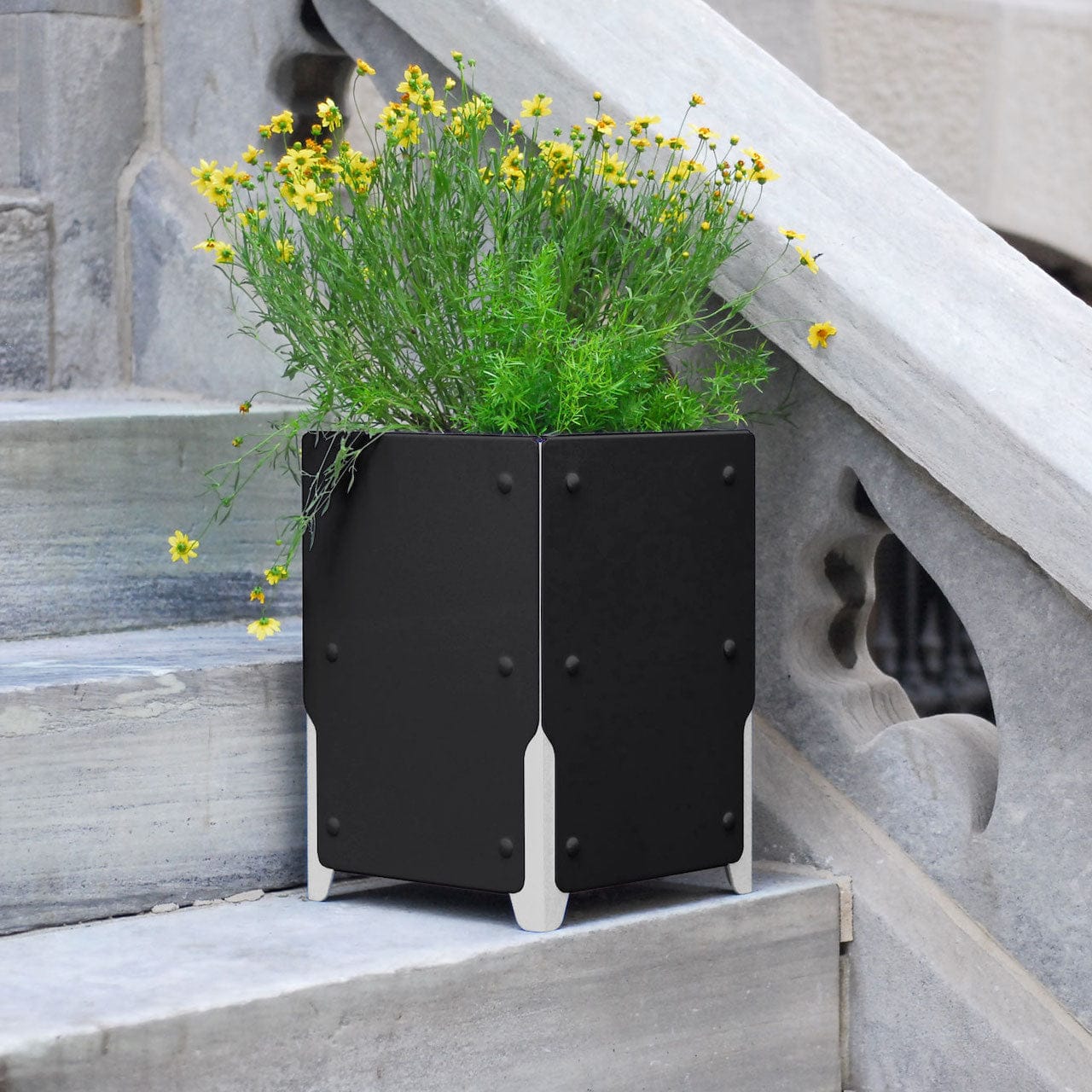 BOLTON Short Planter Set of 4 - Small Indoor Flower Pots for Succulents, Herbs & Plants - Perfect for Windowsill, Kitchen, Office & Home Decor