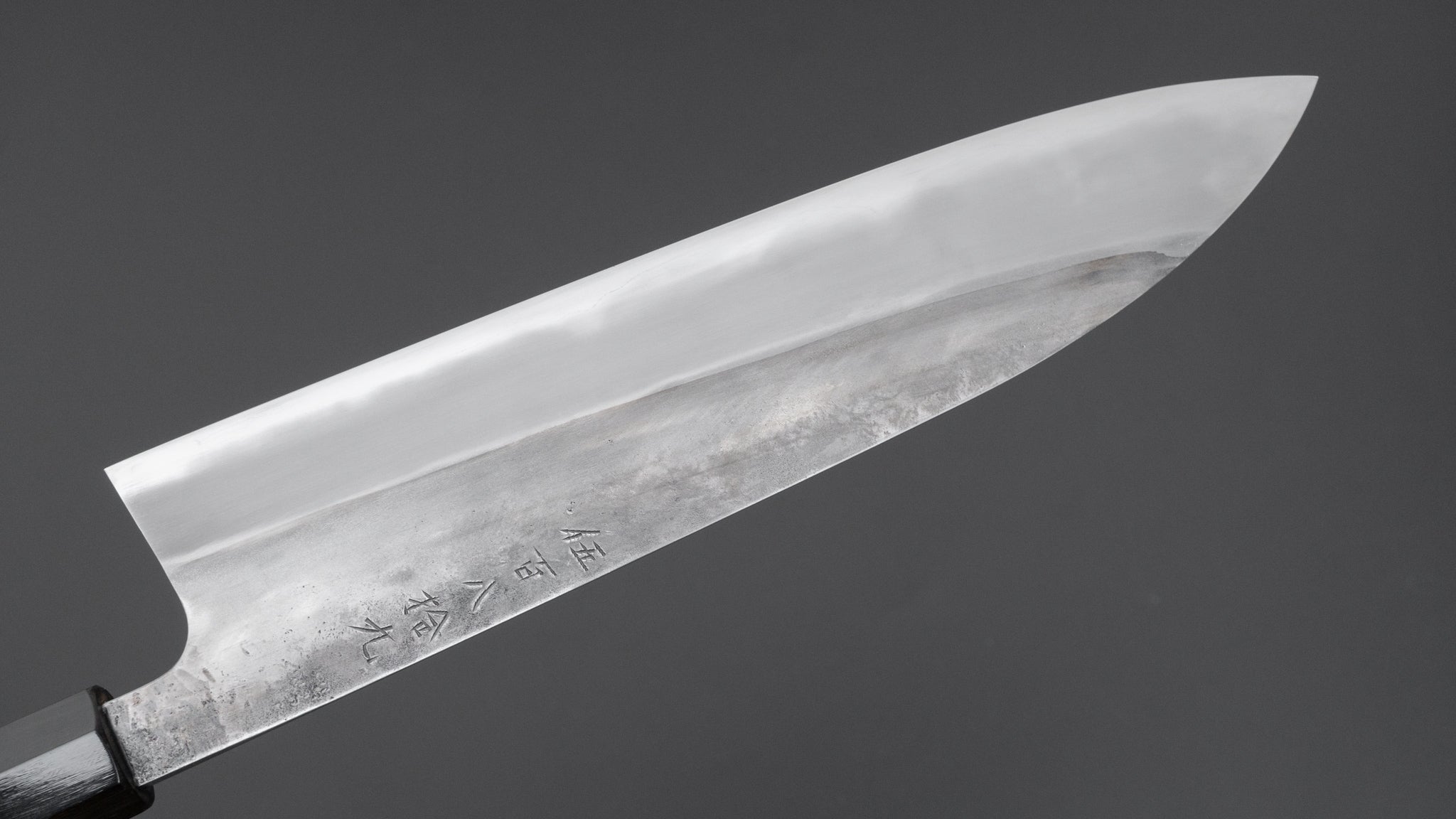 Premium Jiro Tsuchime Wa Gyuto 240mm Japanese Chef Knife with Taihei Tagayasan Handle - Perfect for Sushi, Meat Cutting & Professional Kitchen Use