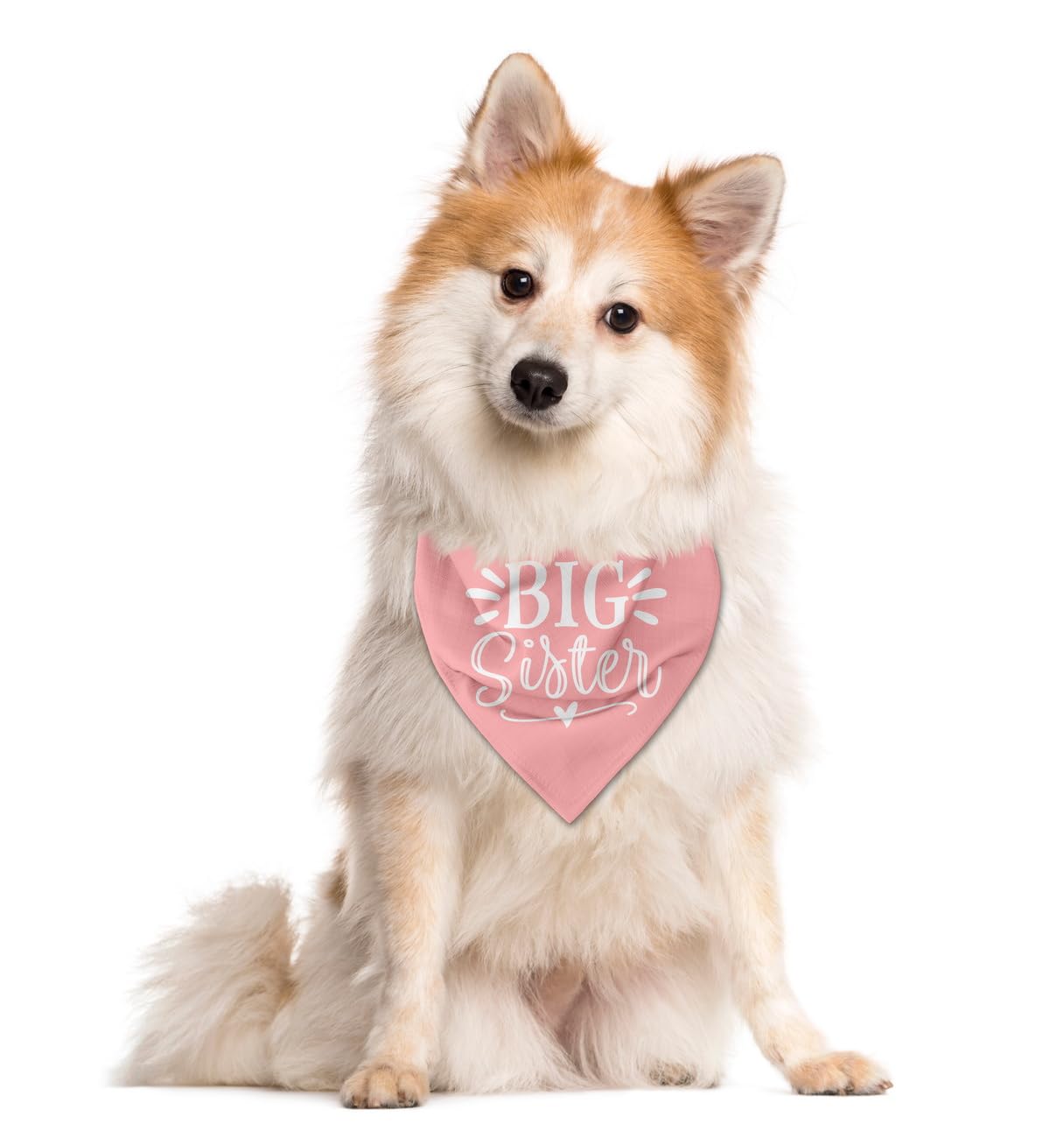 Big Sister Dog Bandana - Pink Pet Scarf for Small & Medium Dogs | Cute Triangle Bandana Accessory for Puppies | Perfect for Baby Announcements, Birthday Parties & Daily Walks (Medium Size)