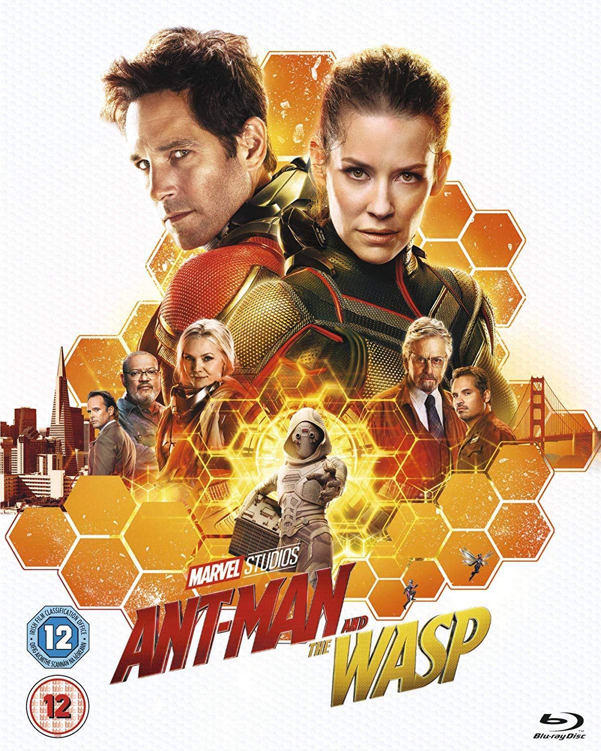 Ant-Man and The Wasp Marvel Action Figures - Collectible Superhero Toys for Kids & Adults | Perfect for Marvel Fans, Birthday Gifts, and Home Decor