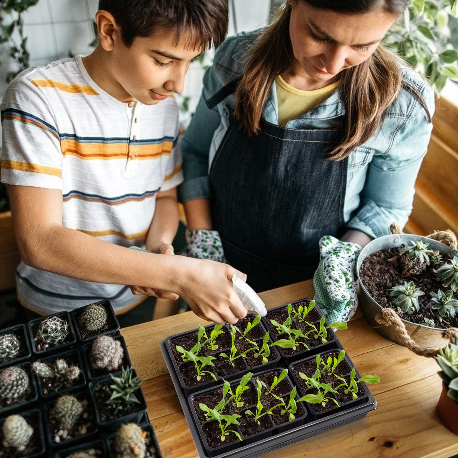ANPHSIN 10-Pack Seed Starter Trays for Microgreens, Wheatgrass & Plant Propagation - 10.6