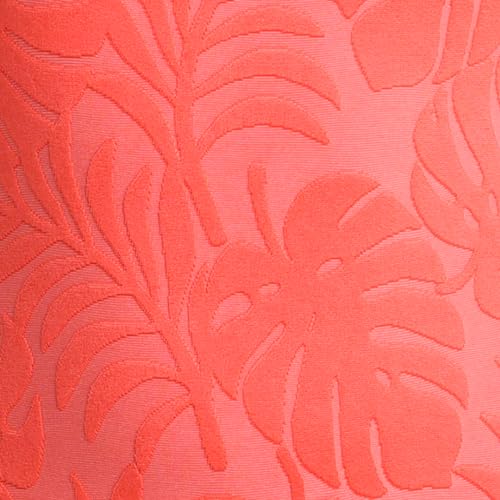 Coral//Island Palm