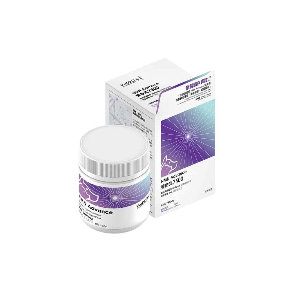 Premium NMN Supplement for Dogs & Cats - Anti-Aging & Cellular Health Support - Ideal for Senior Pets & Longevity Care