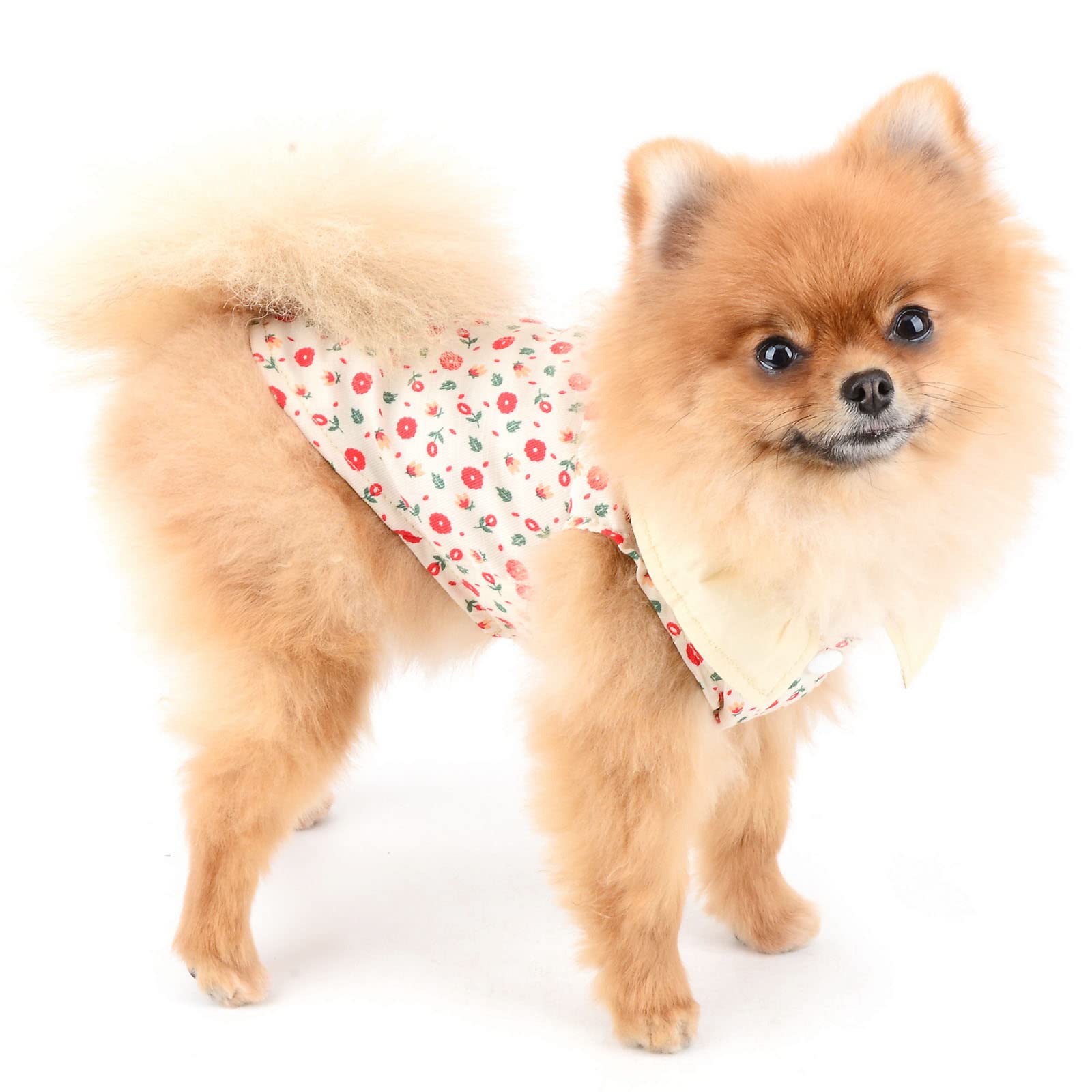 Small Dog Shirts & Cat Apparel - Floral Sleeveless Tank Top with Round Collar | Puppy Chihuahua Clothes for Girls | Cool Summer Pet T-Shirt for Indoor & Outdoor Activities | Red M