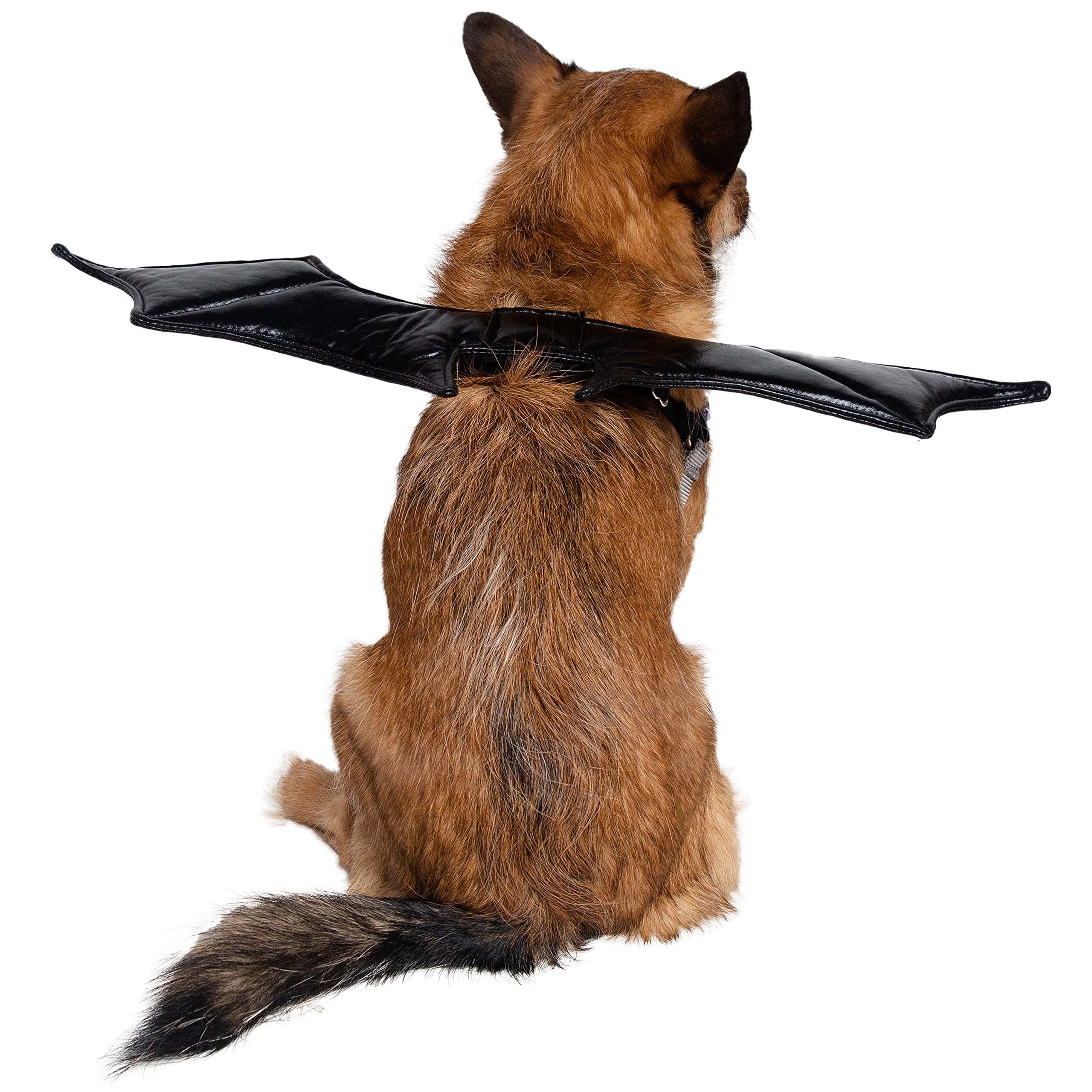 Pet Krewe Bat Dog Costume with Bat Wings & Harness Attachment - One Size Fits All - Perfect for Halloween, Christmas, Parties & Photoshoots - Great Gift for Dog Lovers - Ideal for Dress-Up, Pet Parades & Themed Events