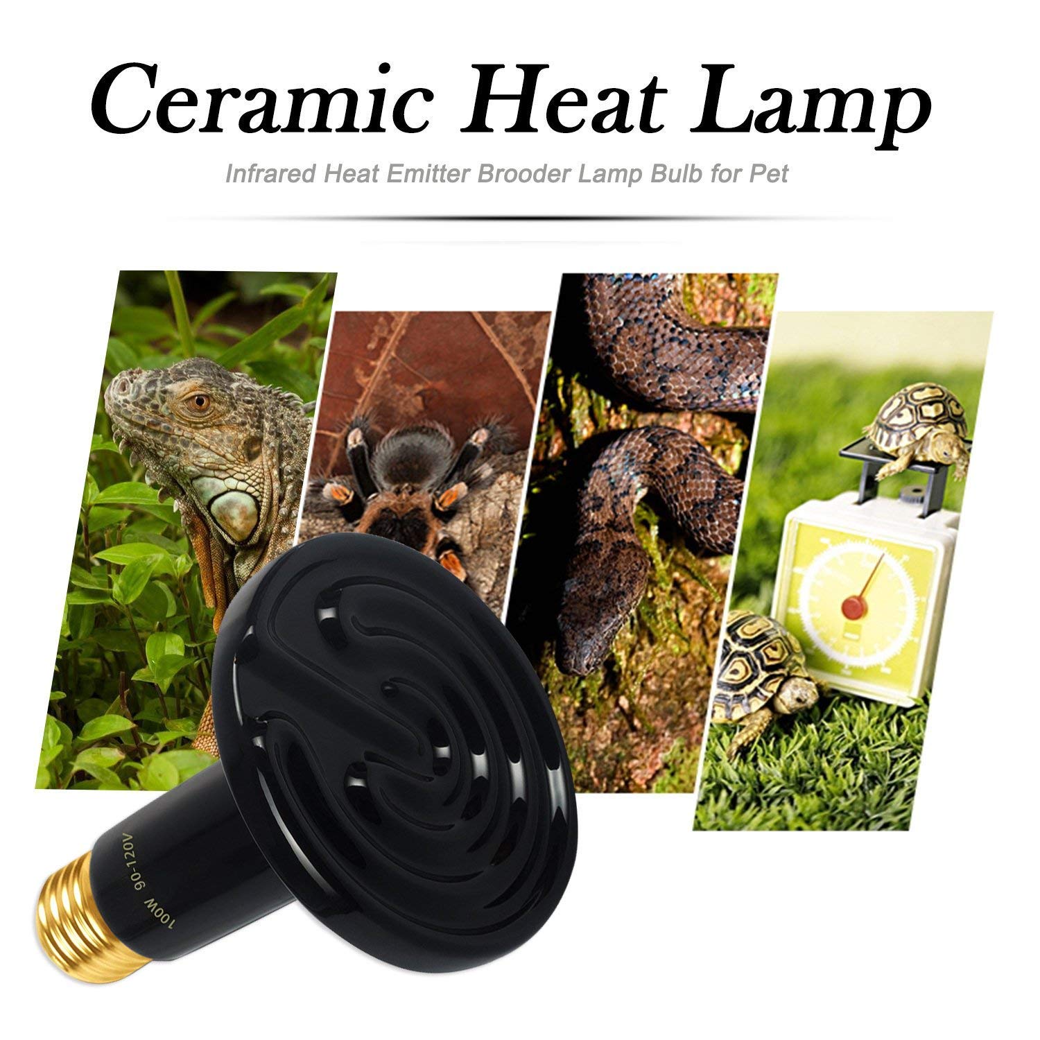 OMAYKEY 2-Pack 100W Ceramic Heat Emitter Bulbs with Digital Thermometer - Infrared Heating Lamp for Reptiles, Turtles, Snakes, Lizards & Chicken Coops - No Light Emission, Safe for Night Use - Perfect for Terrariums, Brooders & Pet Habitats