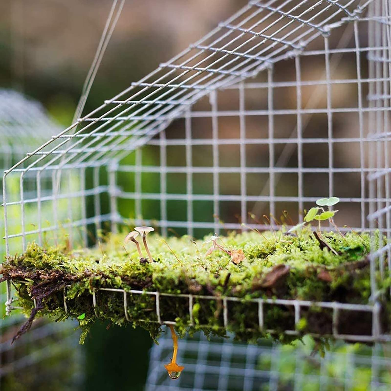 Premium Stainless Steel Wire Mesh - 1x1m (3.2x3.2ft) Aviary Fence & Hardware Cloth for Chicken Coop, Rabbit Cage, Garden Protection & Fruit Tree Enclosure - Heat Resistant & Durable - Perfect for Backyard Farming, Pet Safety and Crop Protection