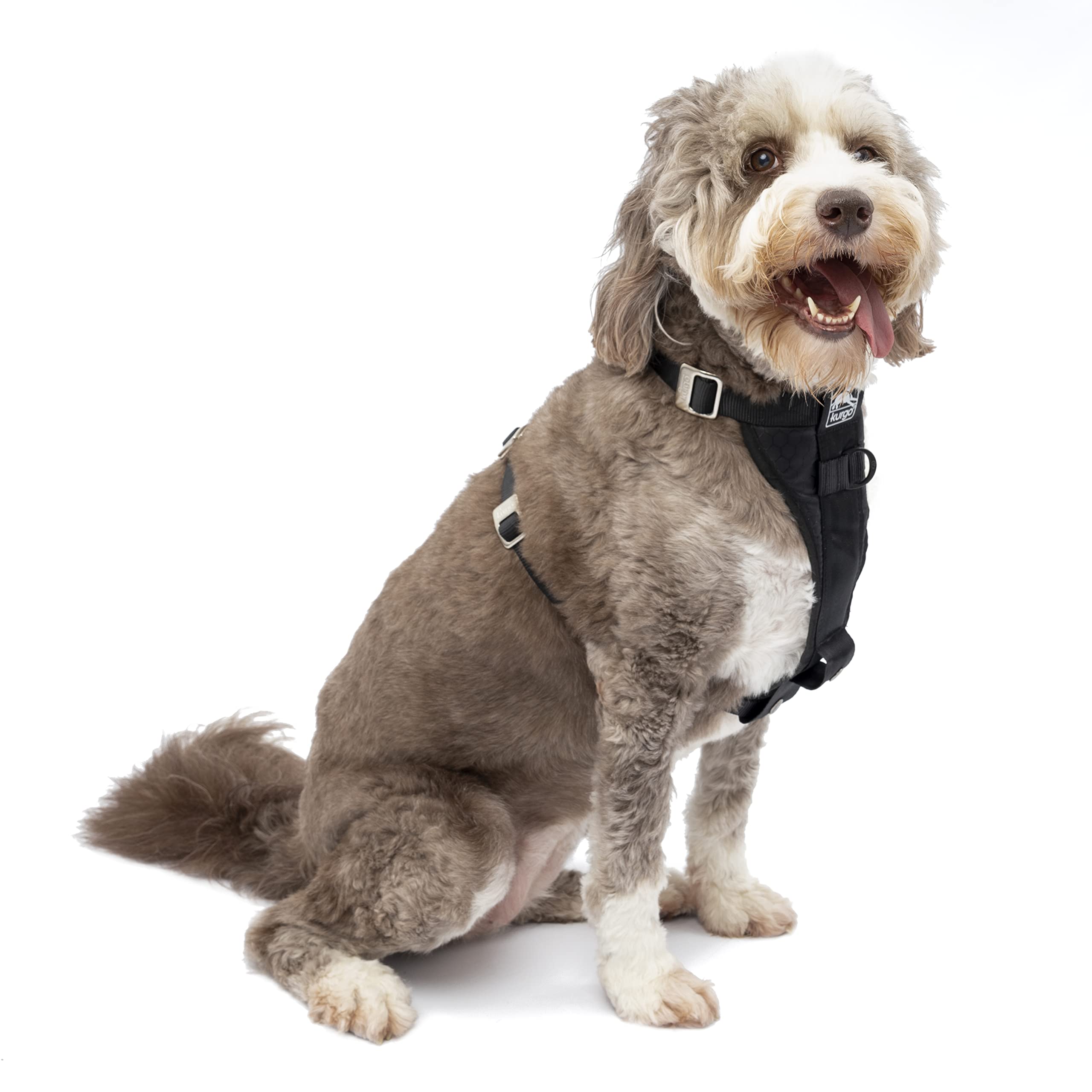 Kurgo Tru-Fit Enhanced Strength Crash-Tested Dog Harness - Durable & Safe for Hiking, Running & Car Travel