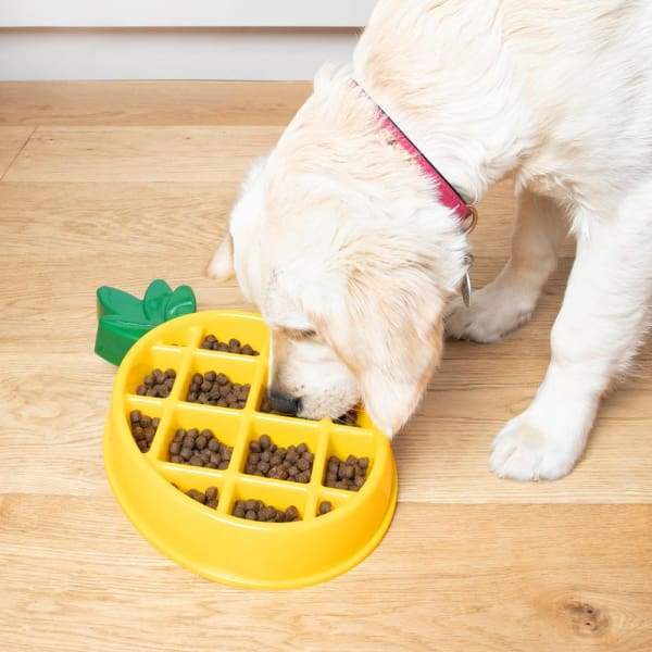 ZippyPaws Pineapple Happy Bowls - Fun Pet Feeding Bowls for Dogs & Cats - Cute Fruit-Themed Food and Water Dishes for Small to Medium Pets - Perfect for Indoor, Outdoor, and Travel Use