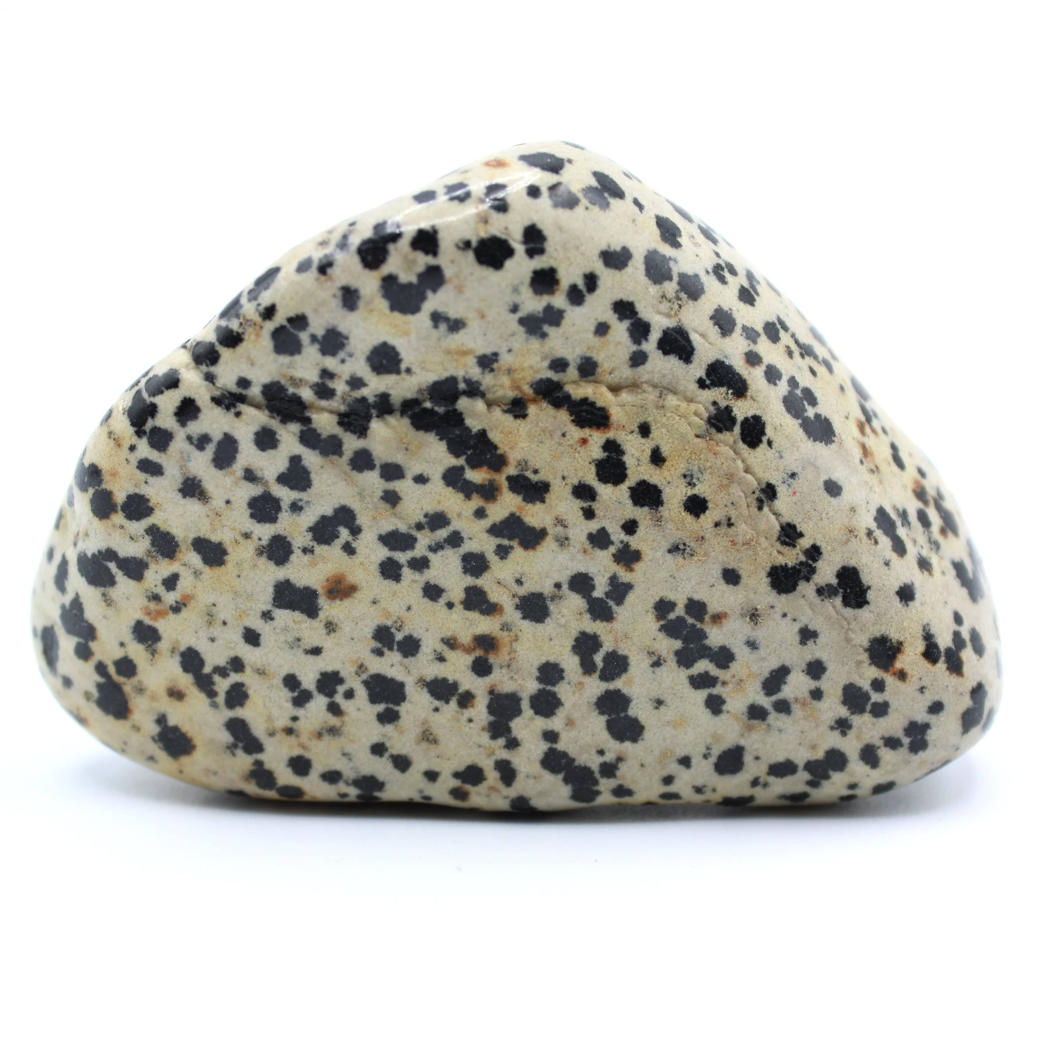 Natural Dalmatian Jasper Free Form Stone - Healing Crystal for Meditation, Home Decor & Spiritual Gifts | Perfect for Yoga, Reiki & Positive Energy